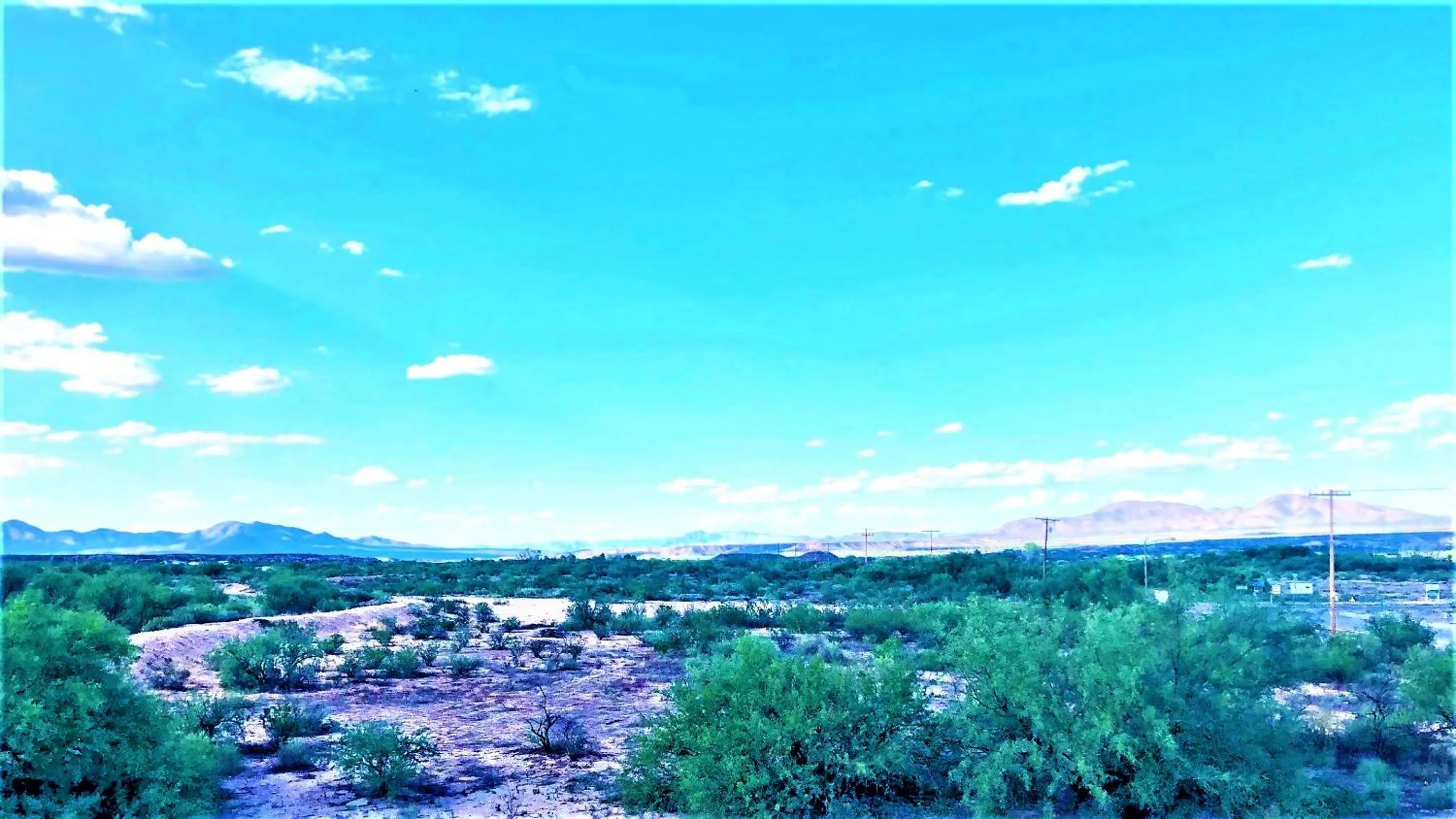 Natural landscape in Super 8 by Wyndham Benson