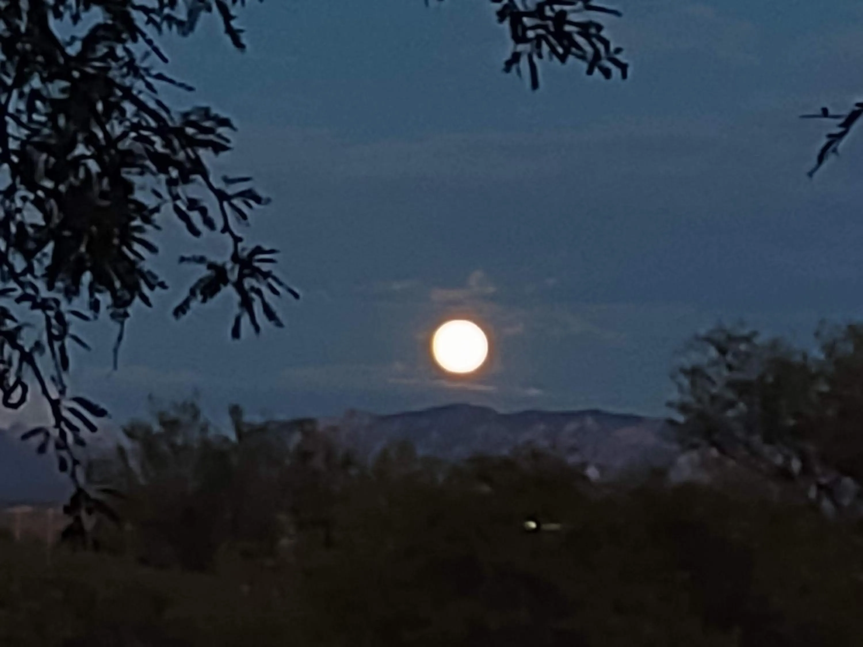 View (from property/room) in Super 8 by Wyndham Benson