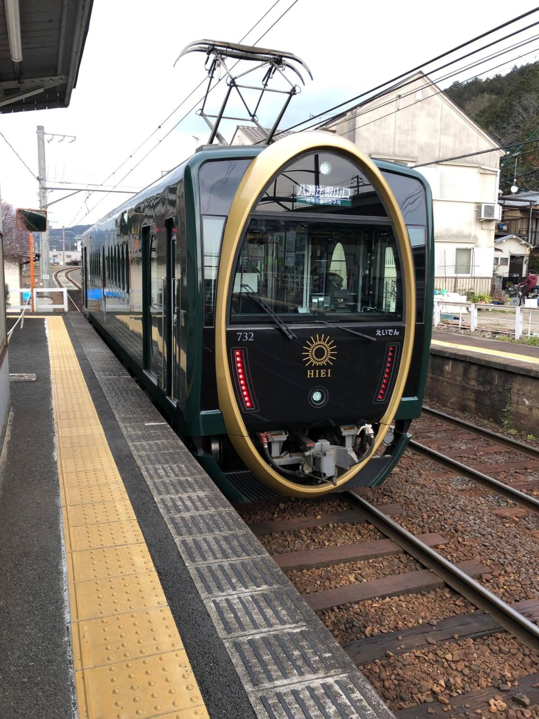 Benidaruma - Sakuramochi