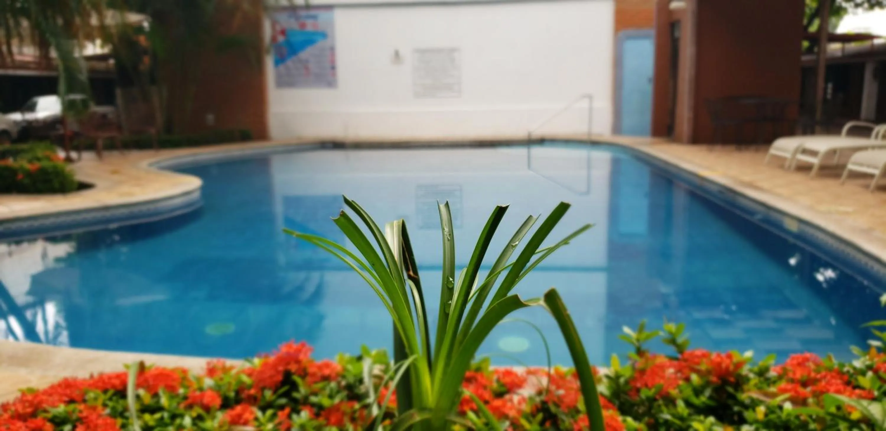 Swimming pool in Hotel El Rancho