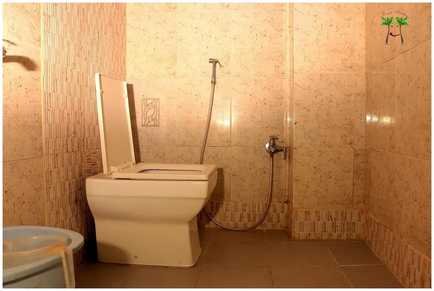 Toilet in Peace Residency