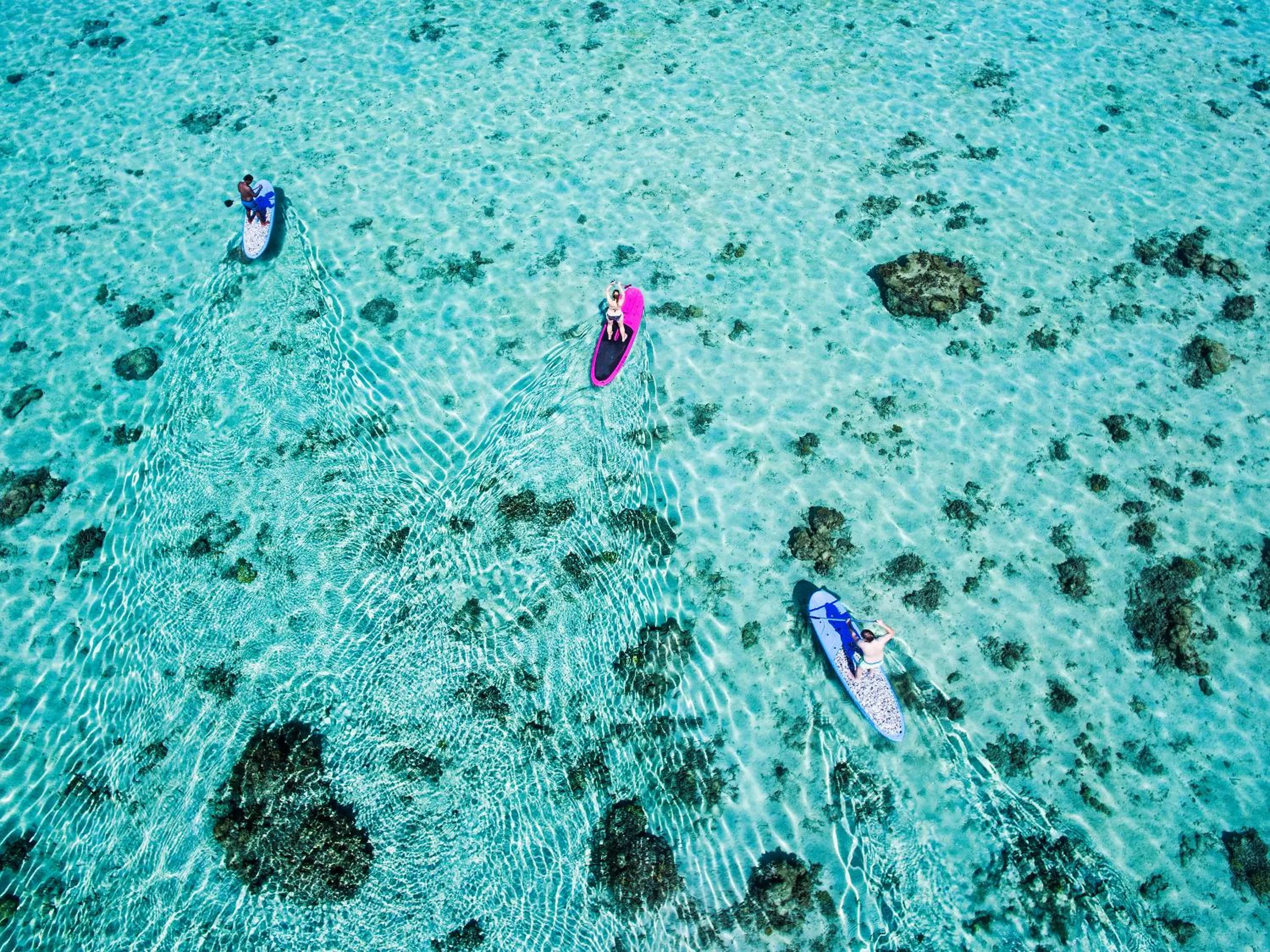 Canoeing in Maui Palms