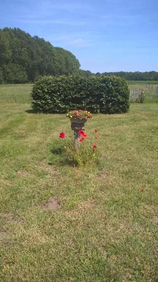 boerderijkamer Korenbloem