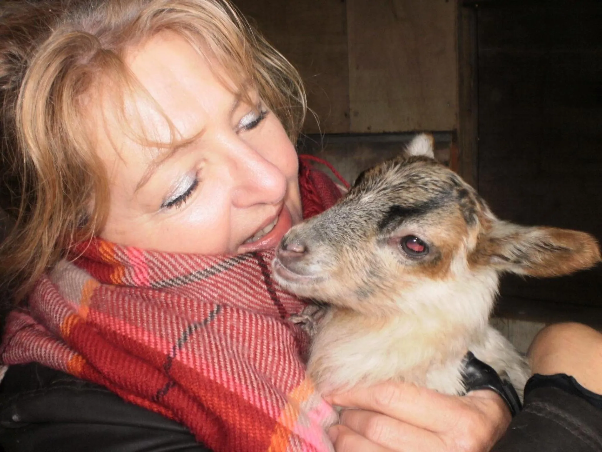 boerderijkamer Korenbloem