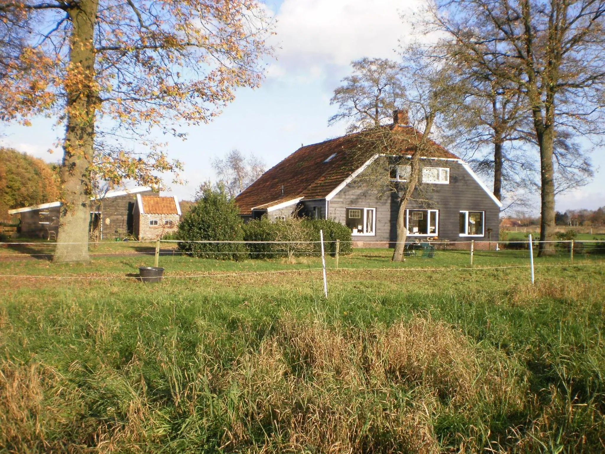 boerderijkamer Korenbloem