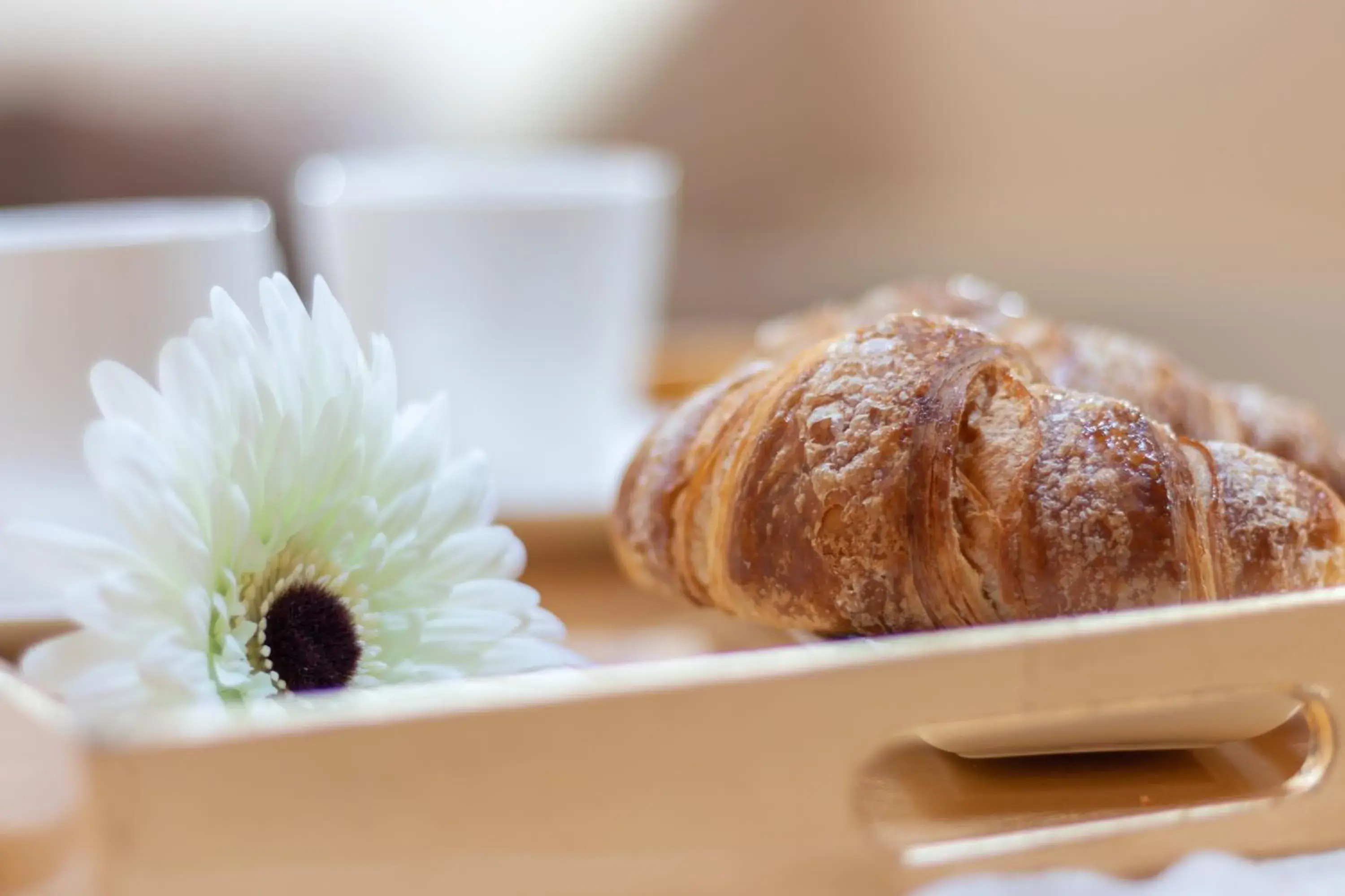 Luxury Triple Room - single occupancy in Monteborre Luxury Triple Room - single occupancy in Monteborre