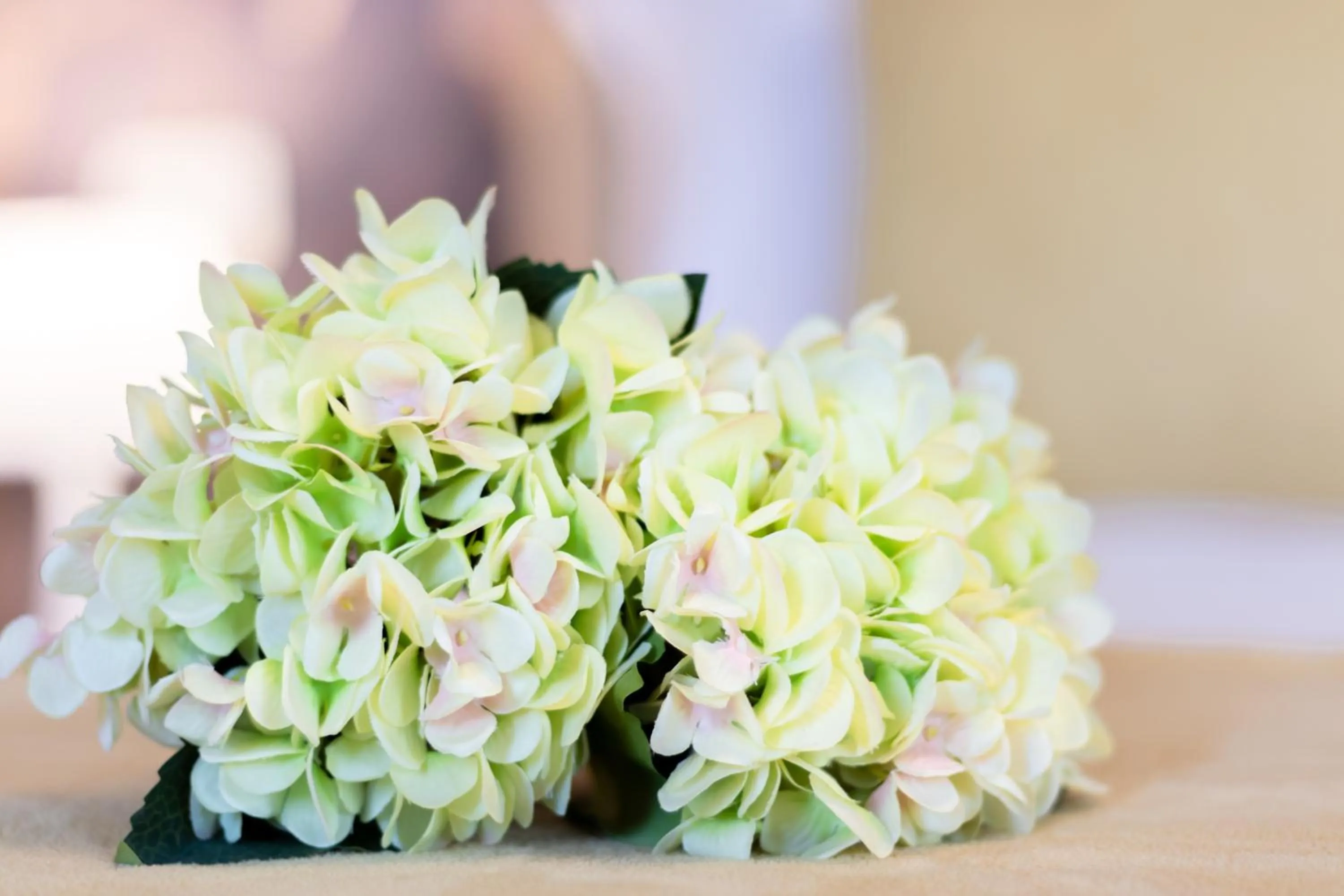 Decorative detail in Monteborre