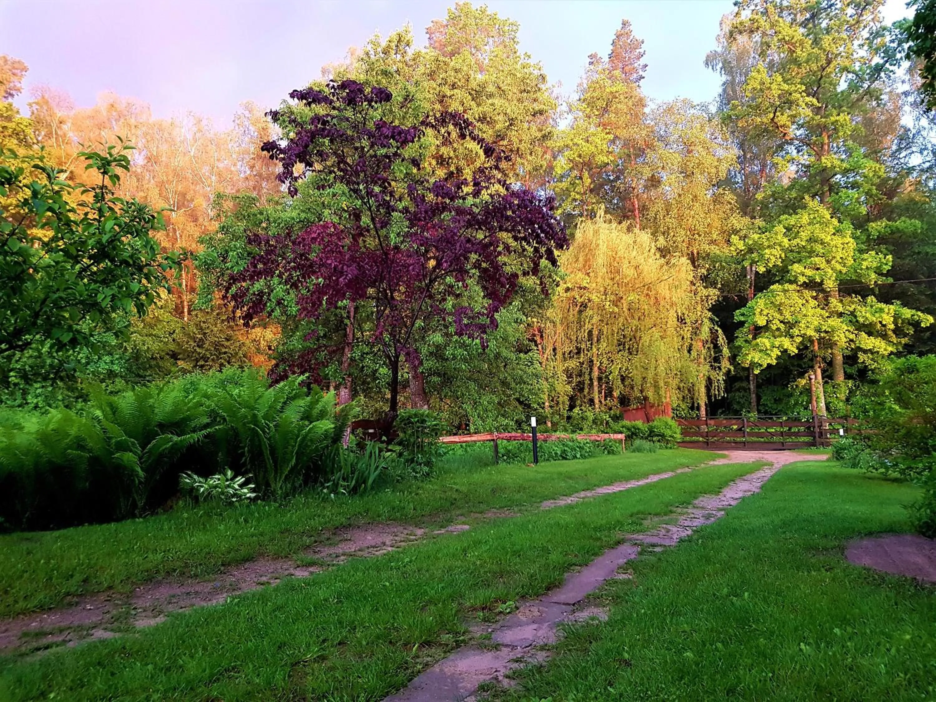Garden in Białowieska Leśniczówka "U Jasia i Małgosi"