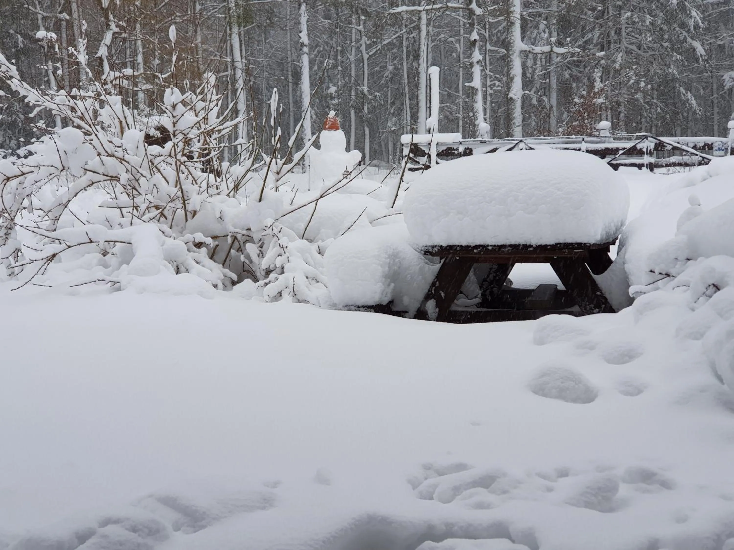 Winter in Białowieska Leśniczówka "U Jasia i Małgosi"