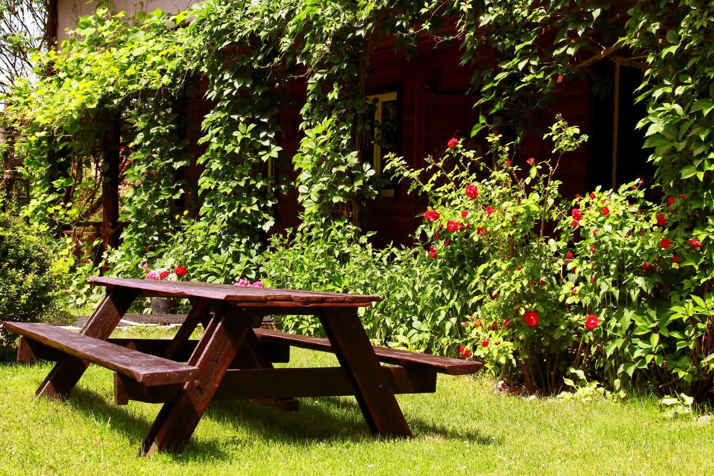 Garden in Białowieska Leśniczówka "U Jasia i Małgosi"