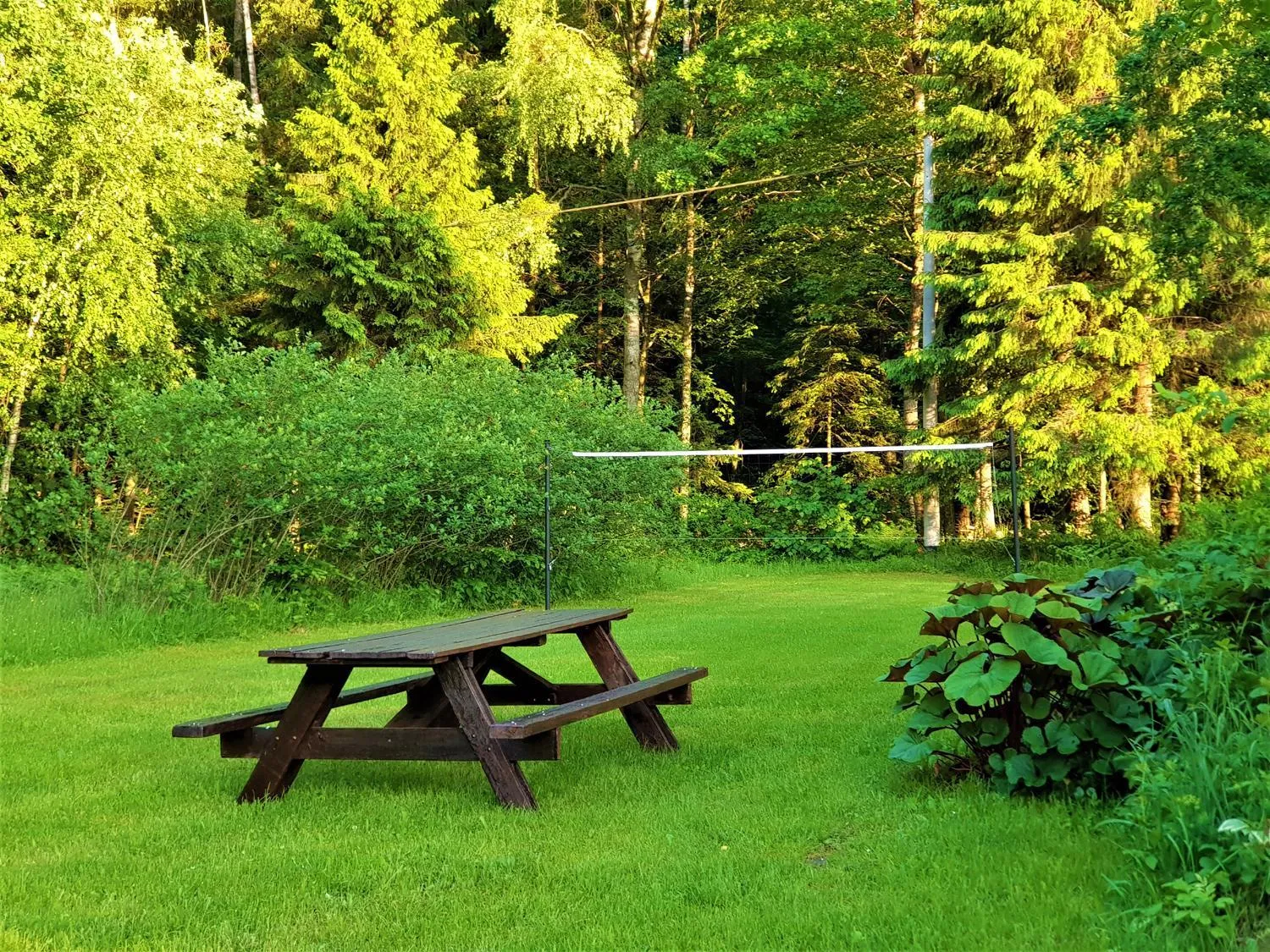 Garden in Białowieska Leśniczówka "U Jasia i Małgosi"