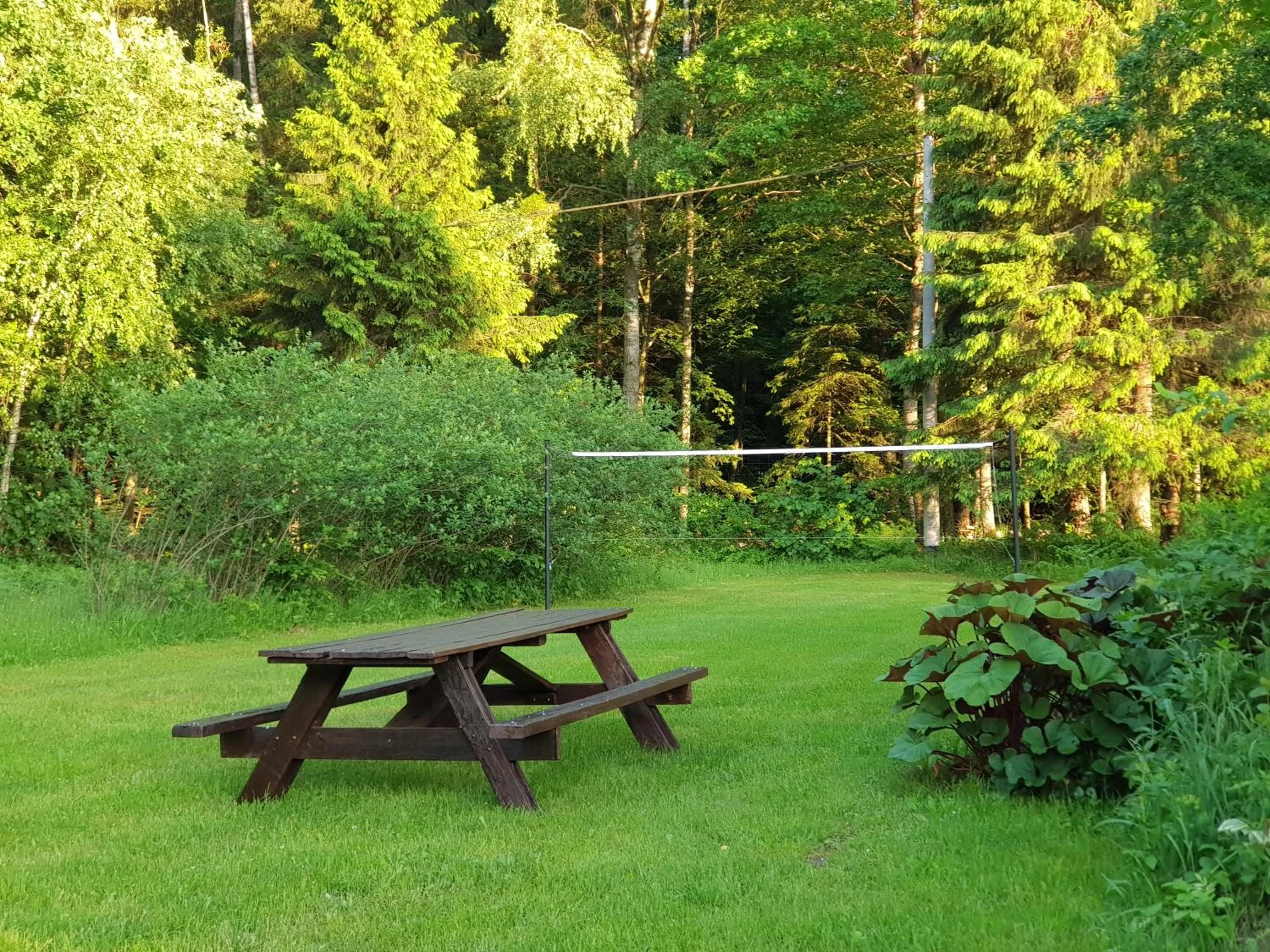 Garden in Białowieska Leśniczówka "U Jasia i Małgosi"
