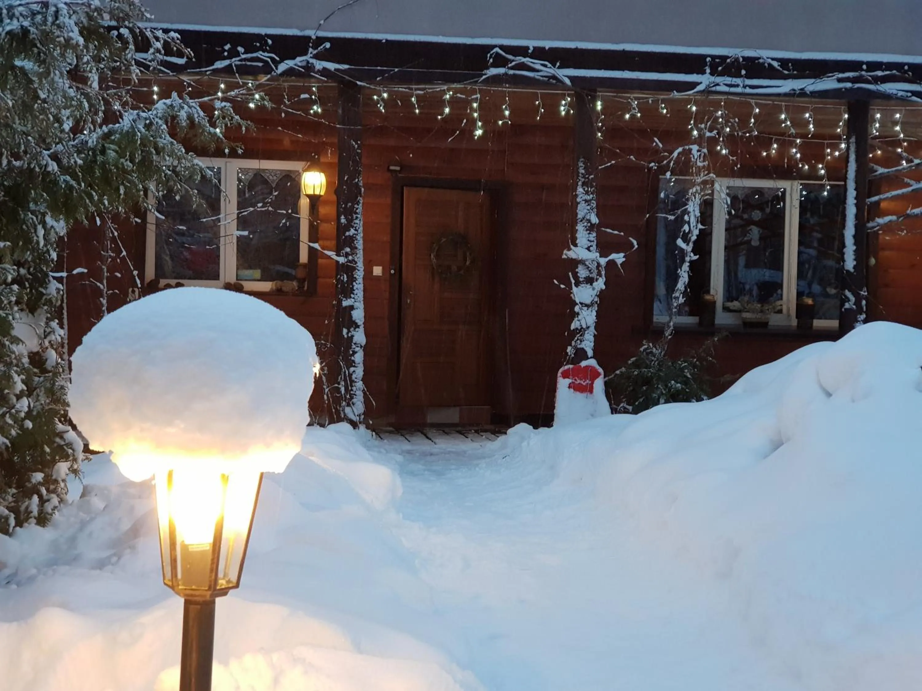 Property building in Białowieska Leśniczówka "U Jasia i Małgosi"