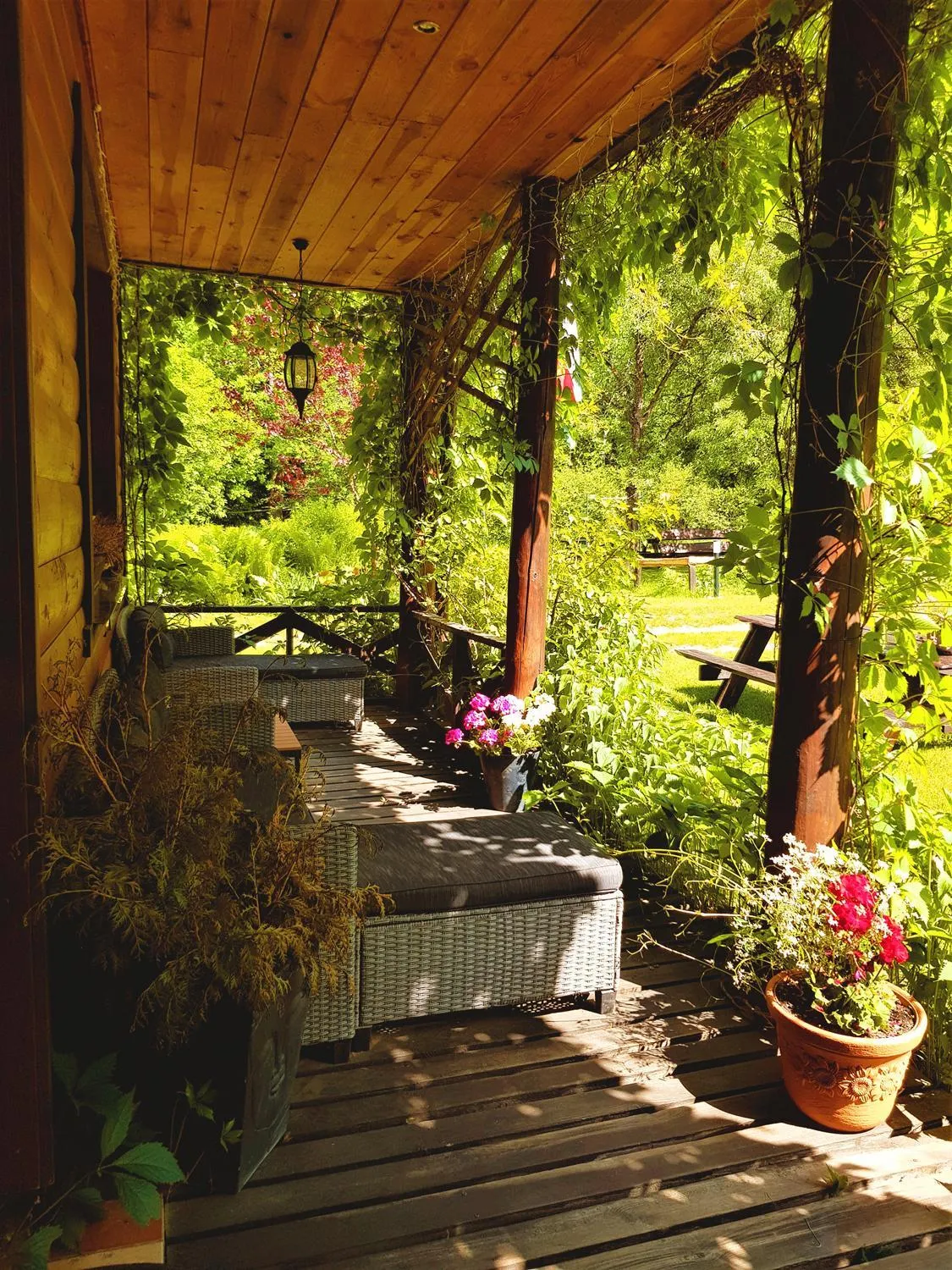 Garden in Białowieska Leśniczówka "U Jasia i Małgosi"