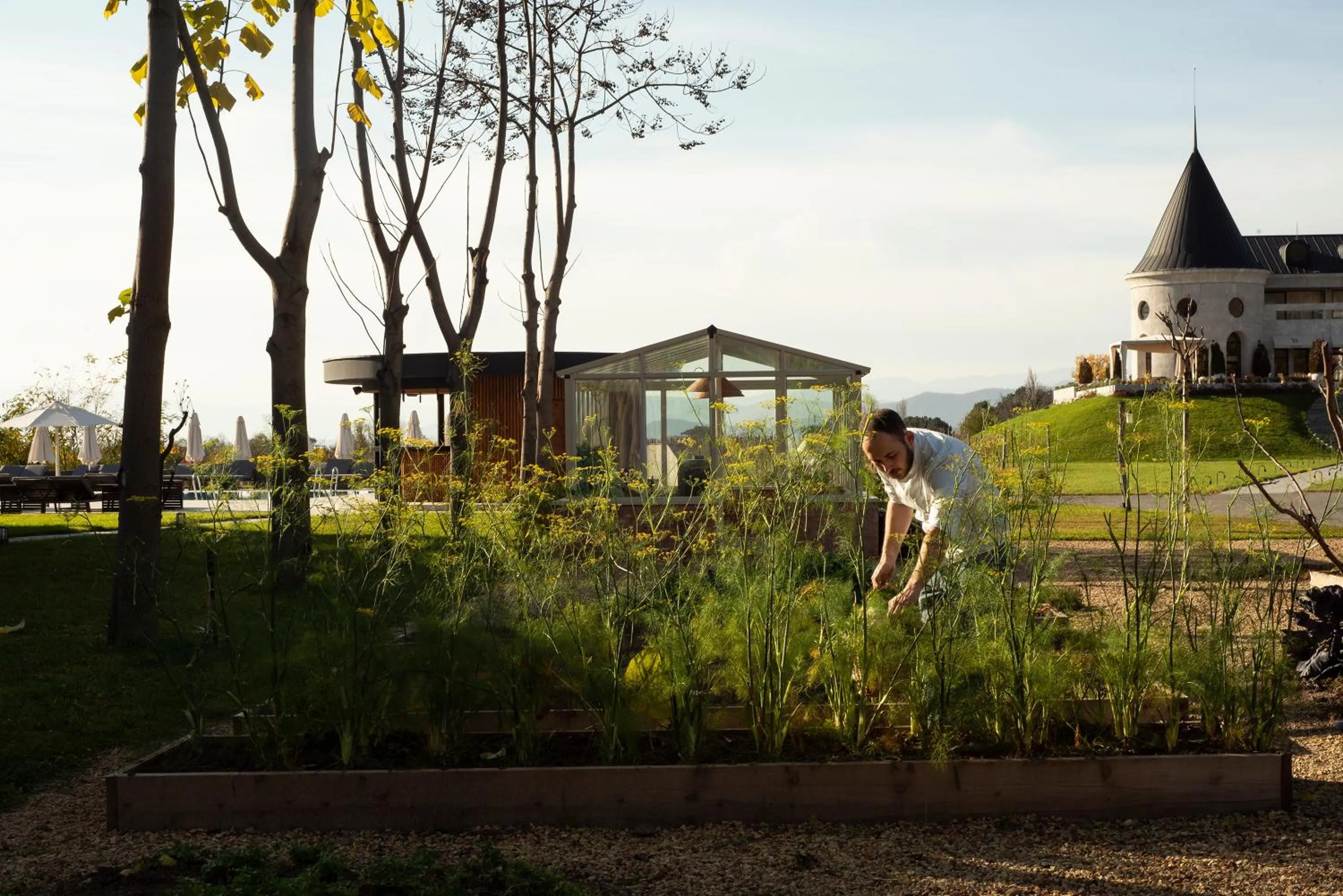 Garden in Lopota Lake Resort & Spa