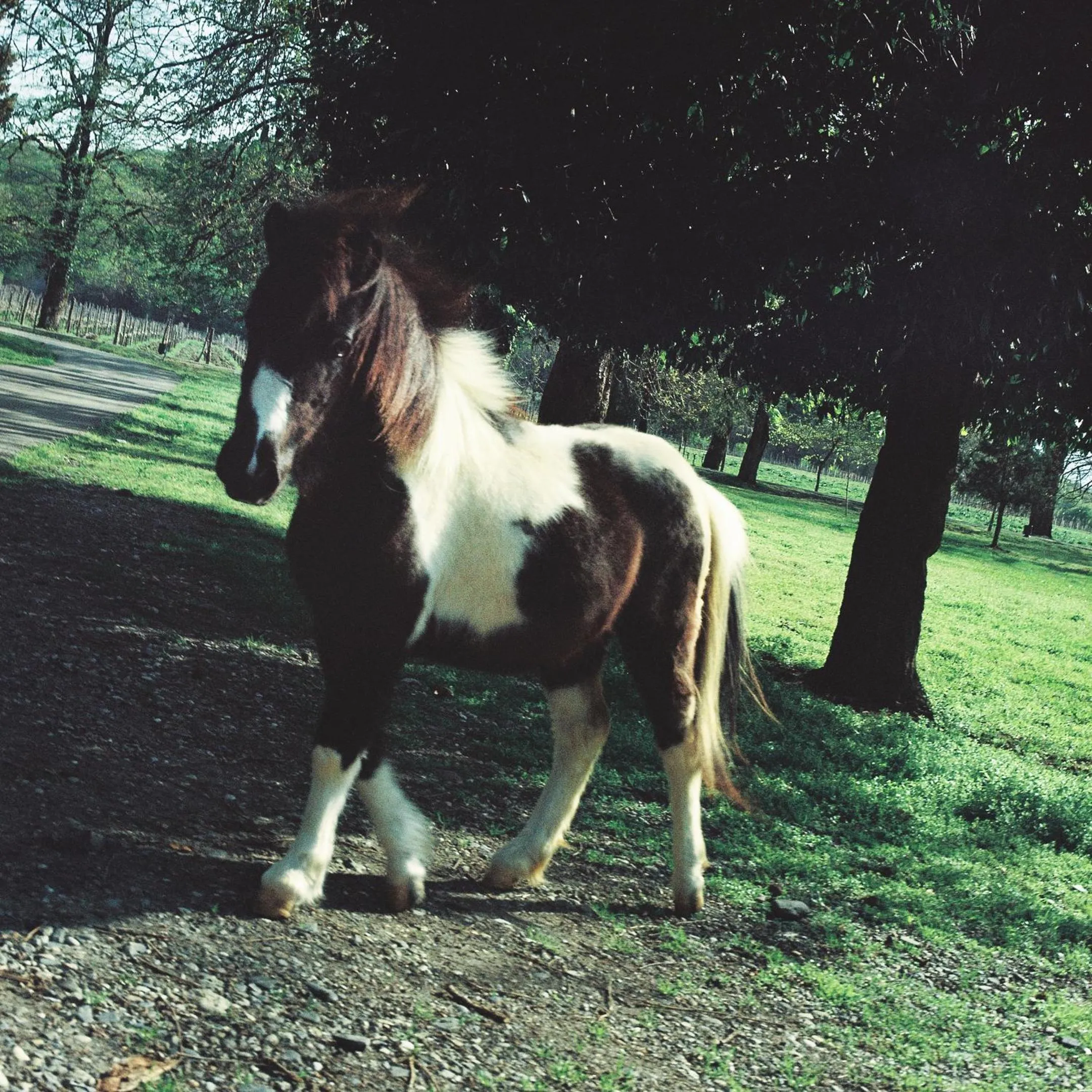 Spring in Lopota Lake Resort & Spa