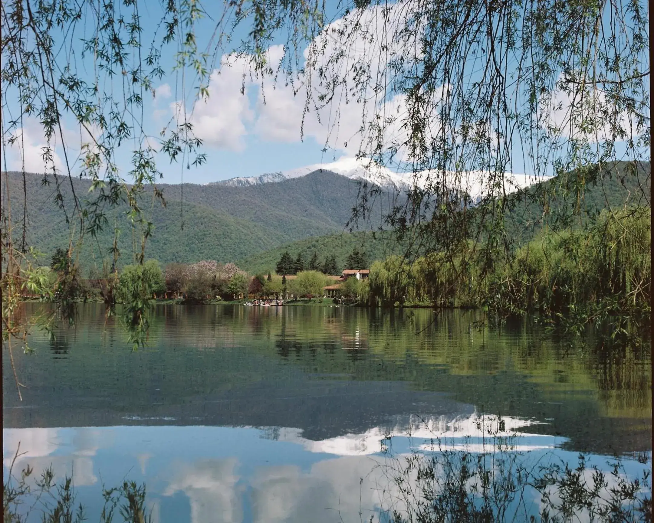 View (from property/room) in Lopota Lake Resort & Spa View (from property/room) in Lopota Lake Resort & Spa