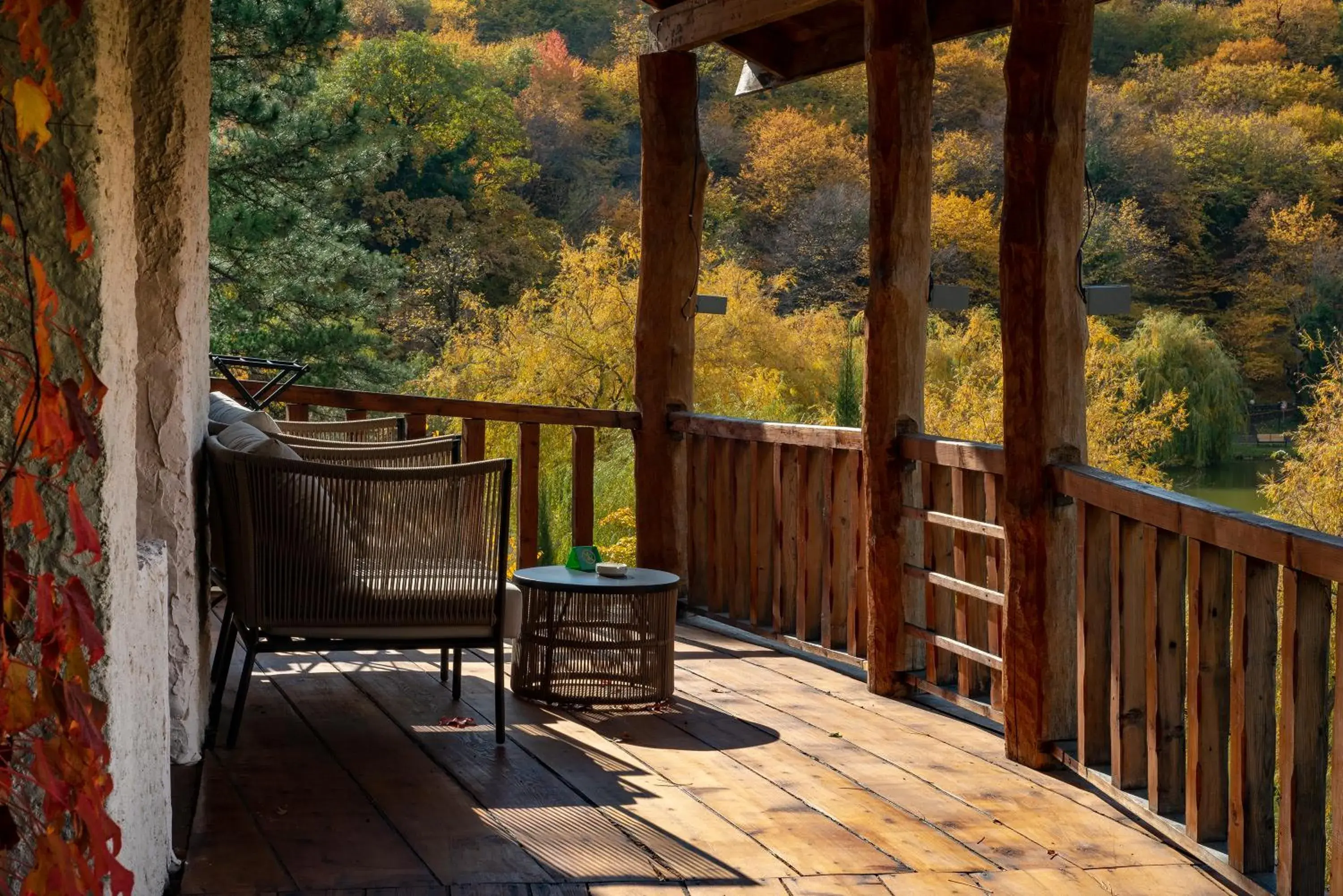 View (from property/room) in Lopota Lake Resort & Spa View (from property/room) in Lopota Lake Resort & Spa