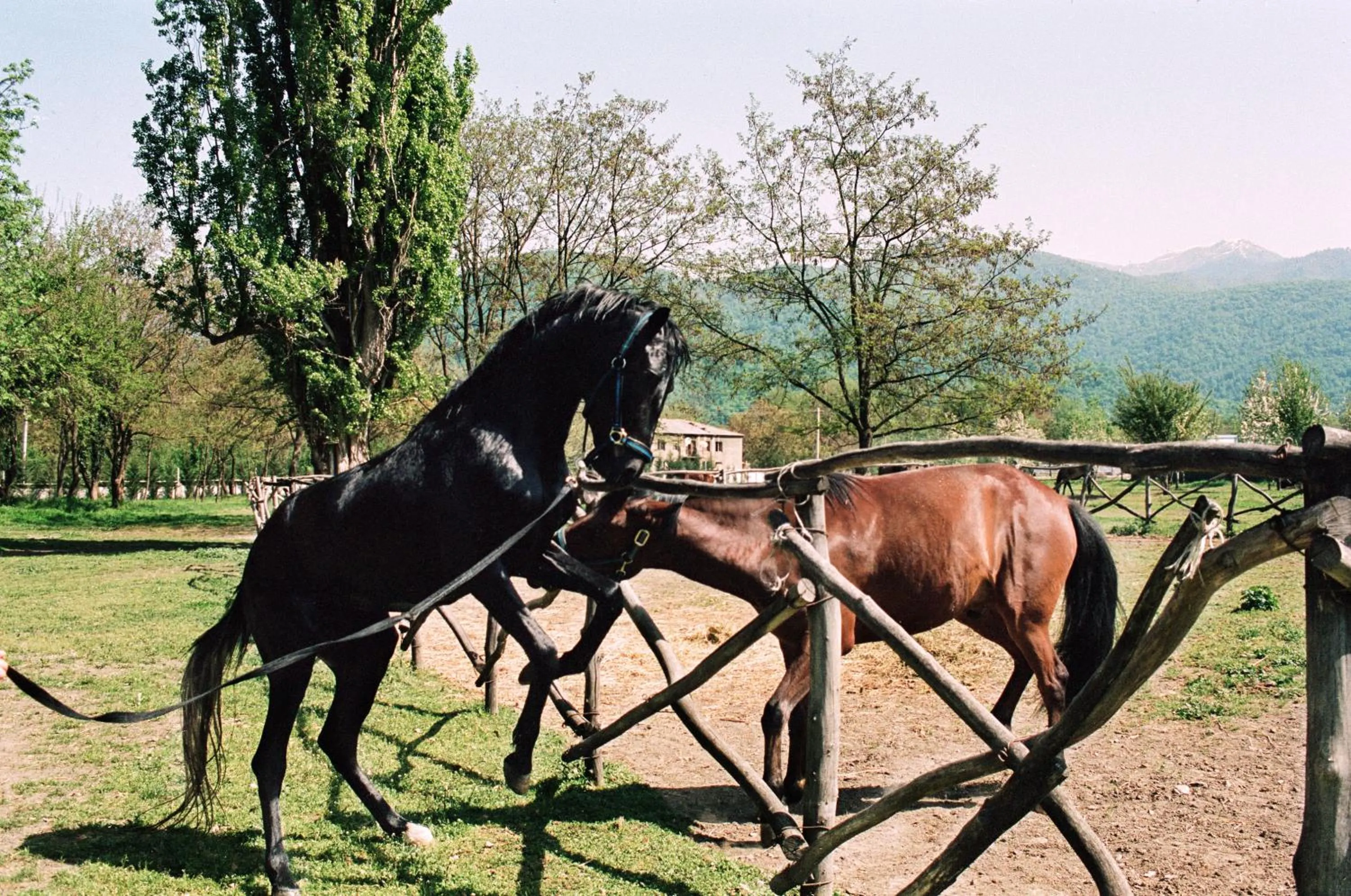 Activities in Lopota Lake Resort & Spa