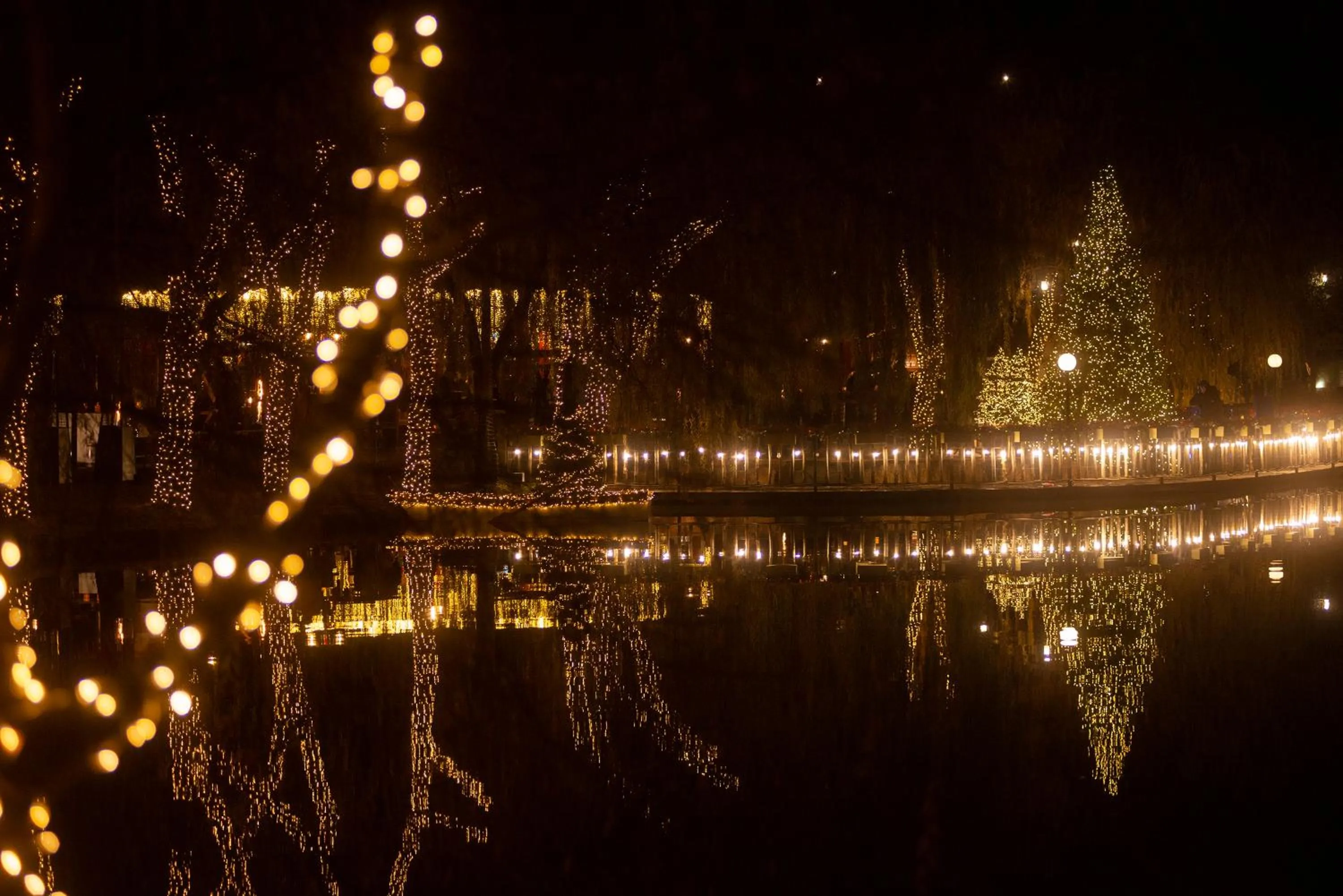 Area and facilities in Lopota Lake Resort & Spa