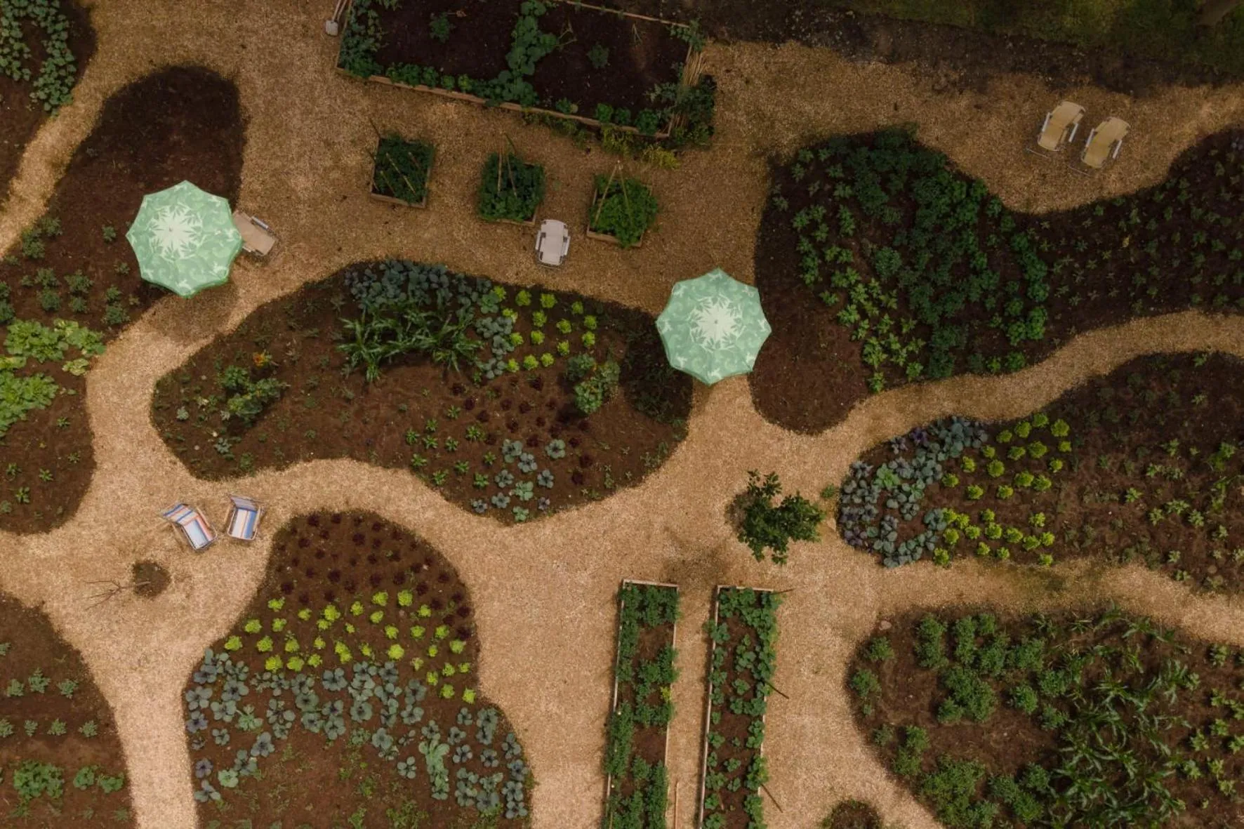 Garden in Lopota Lake Resort & Spa