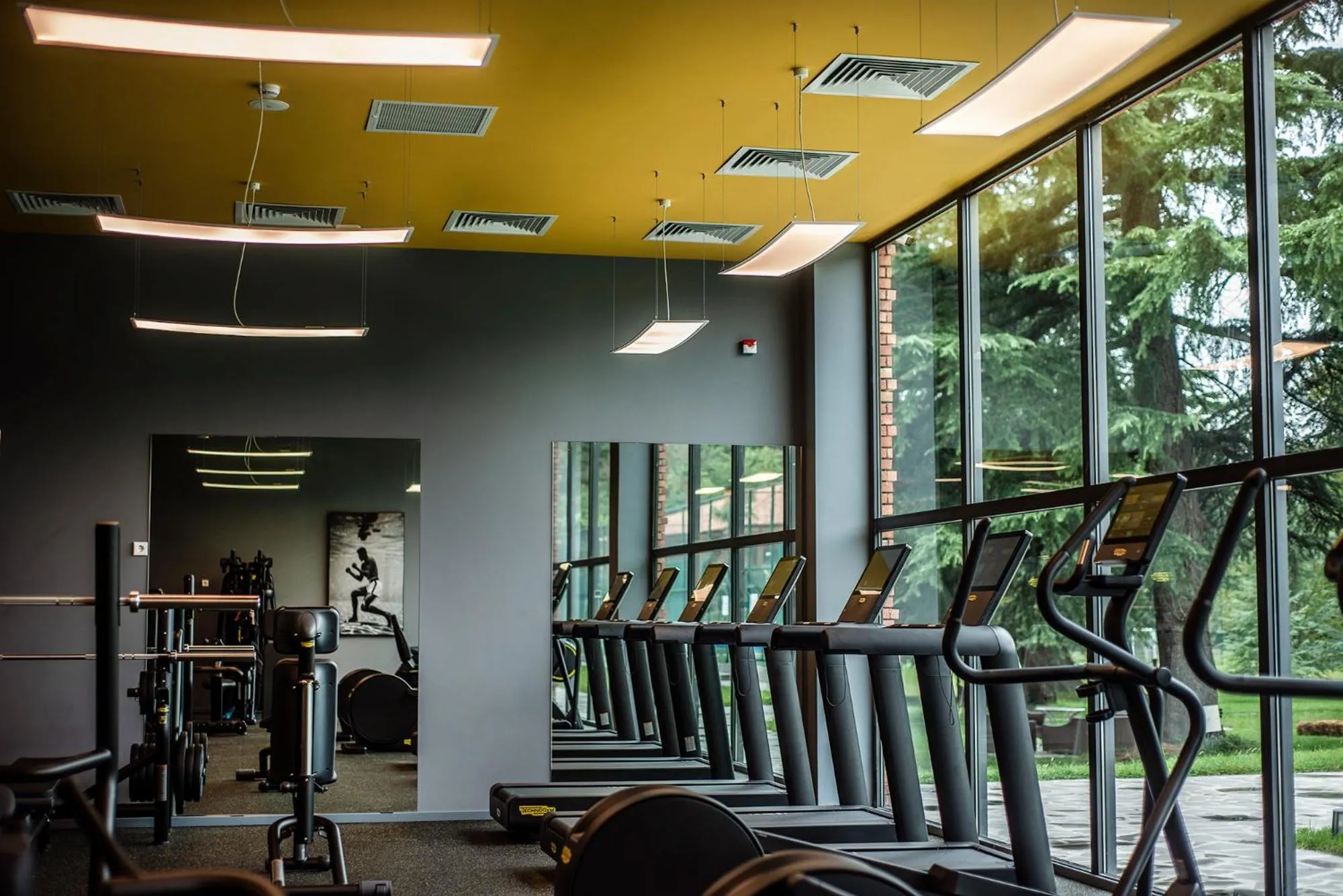 Fitness centre/facilities in Lopota Lake Resort & Spa