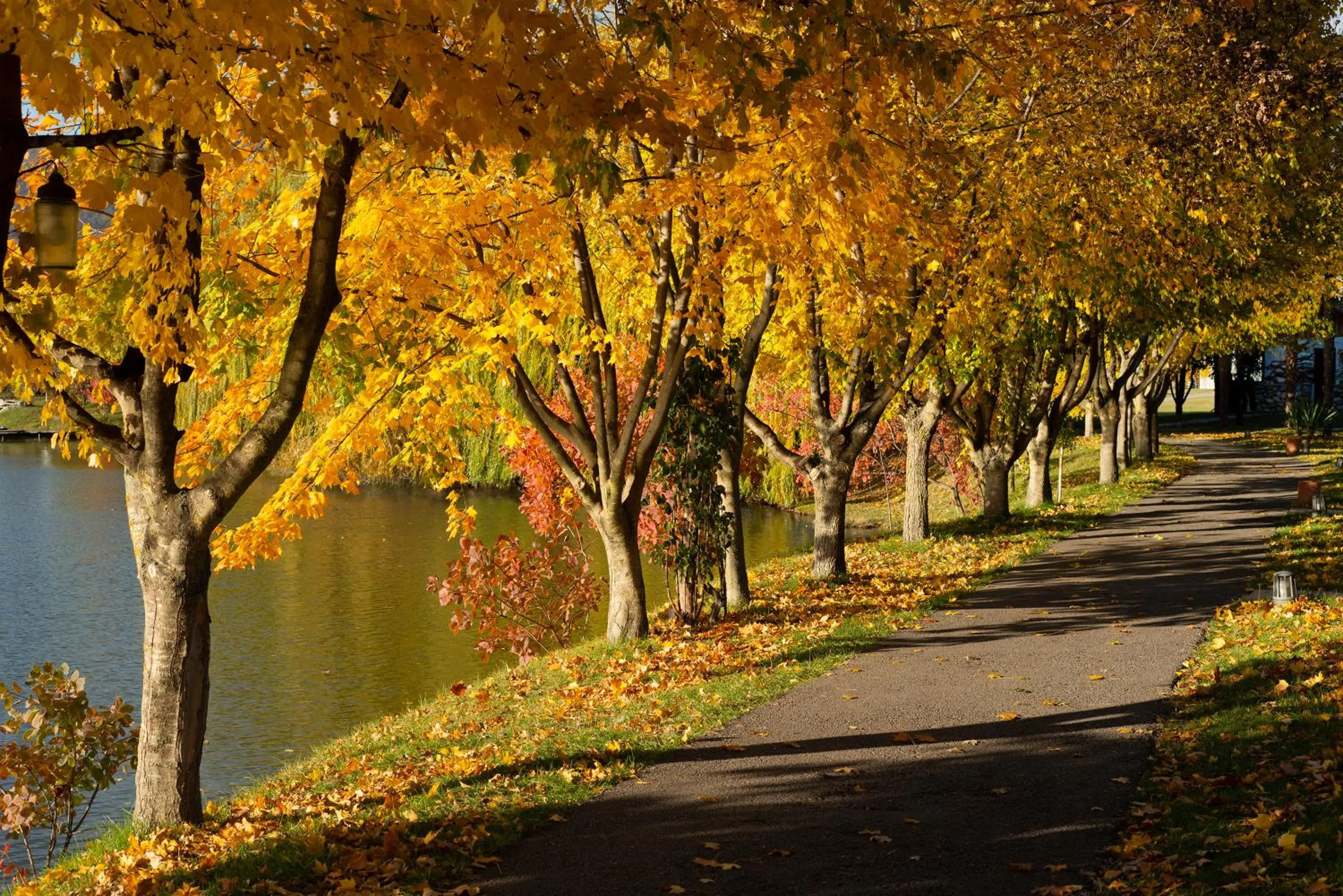 View (from property/room) in Lopota Lake Resort & Spa
