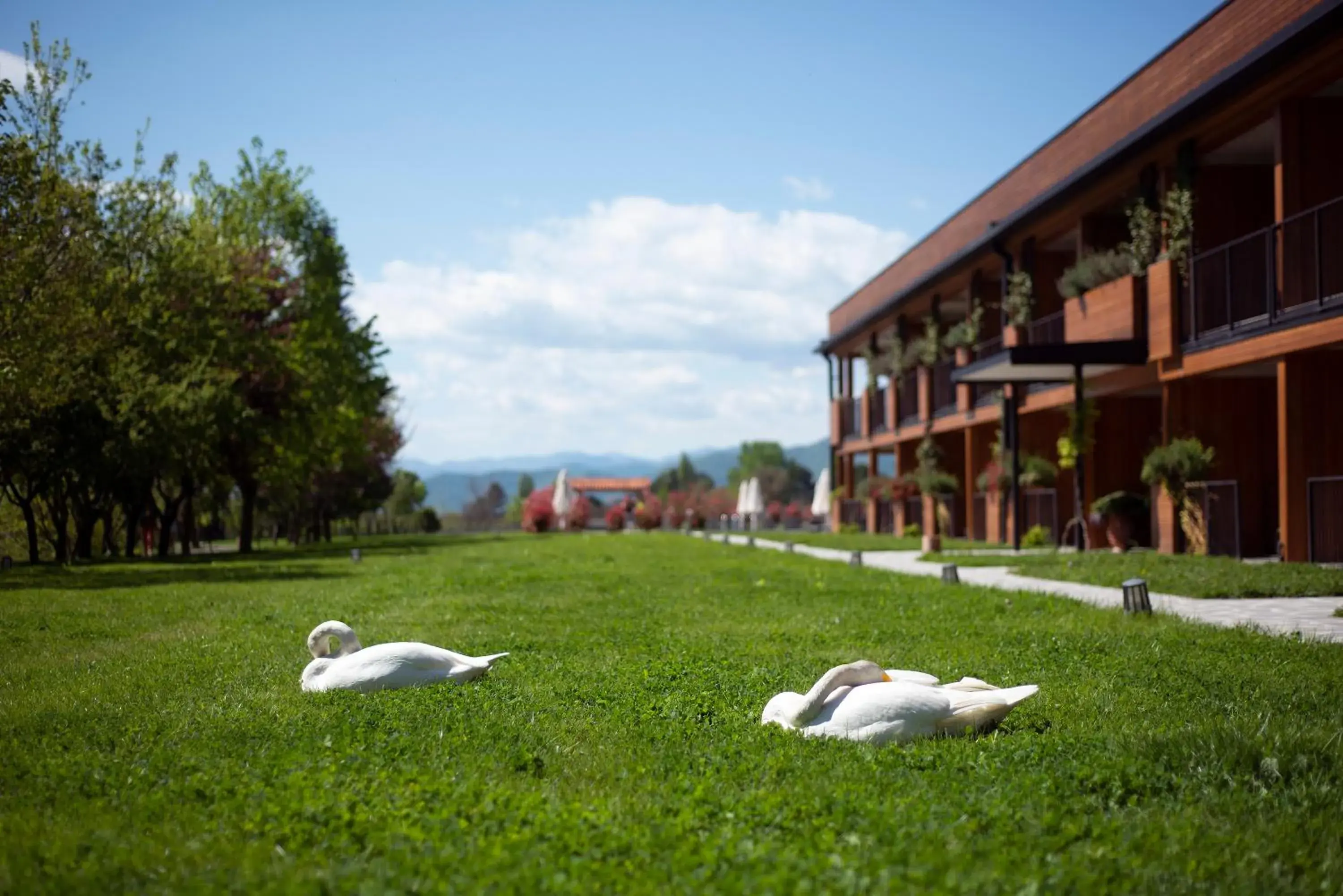 Property building in Lopota Lake Resort & Spa Property building in Lopota Lake Resort & Spa