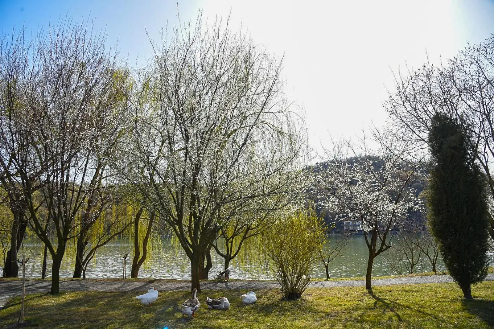 View (from property/room) in Lopota Lake Resort & Spa View (from property/room) in Lopota Lake Resort & Spa