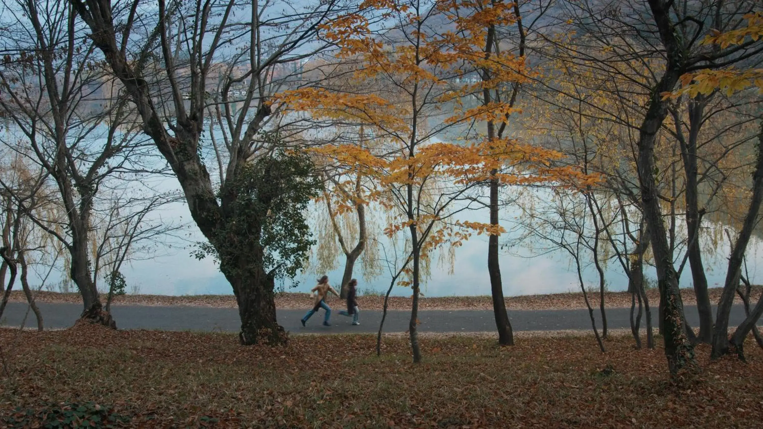 View (from property/room) in Lopota Lake Resort & Spa View (from property/room) in Lopota Lake Resort & Spa