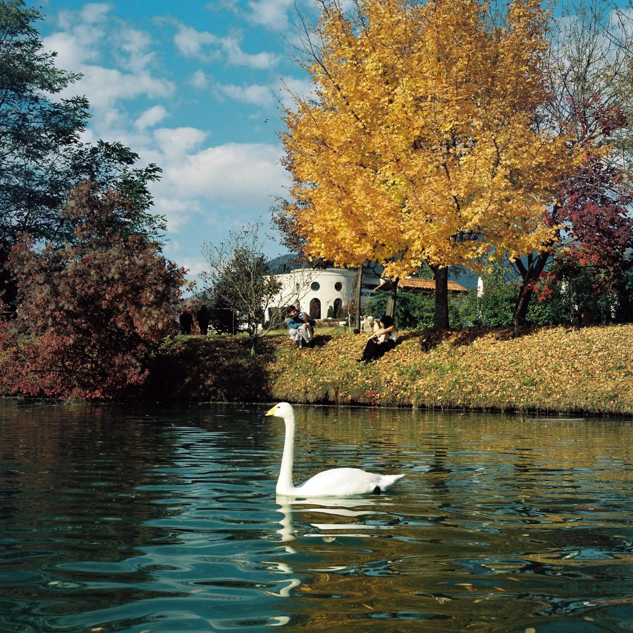 View (from property/room) in Lopota Lake Resort & Spa