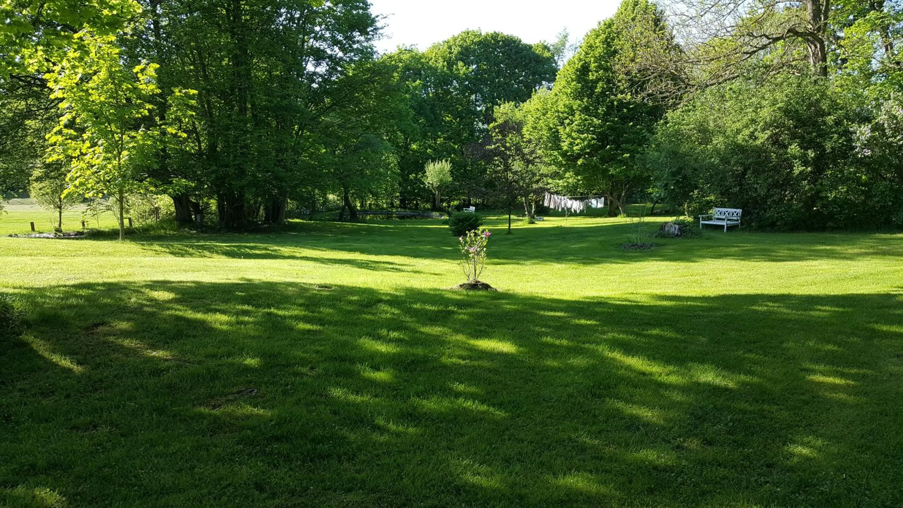 Garden in Hoby Gård B&B