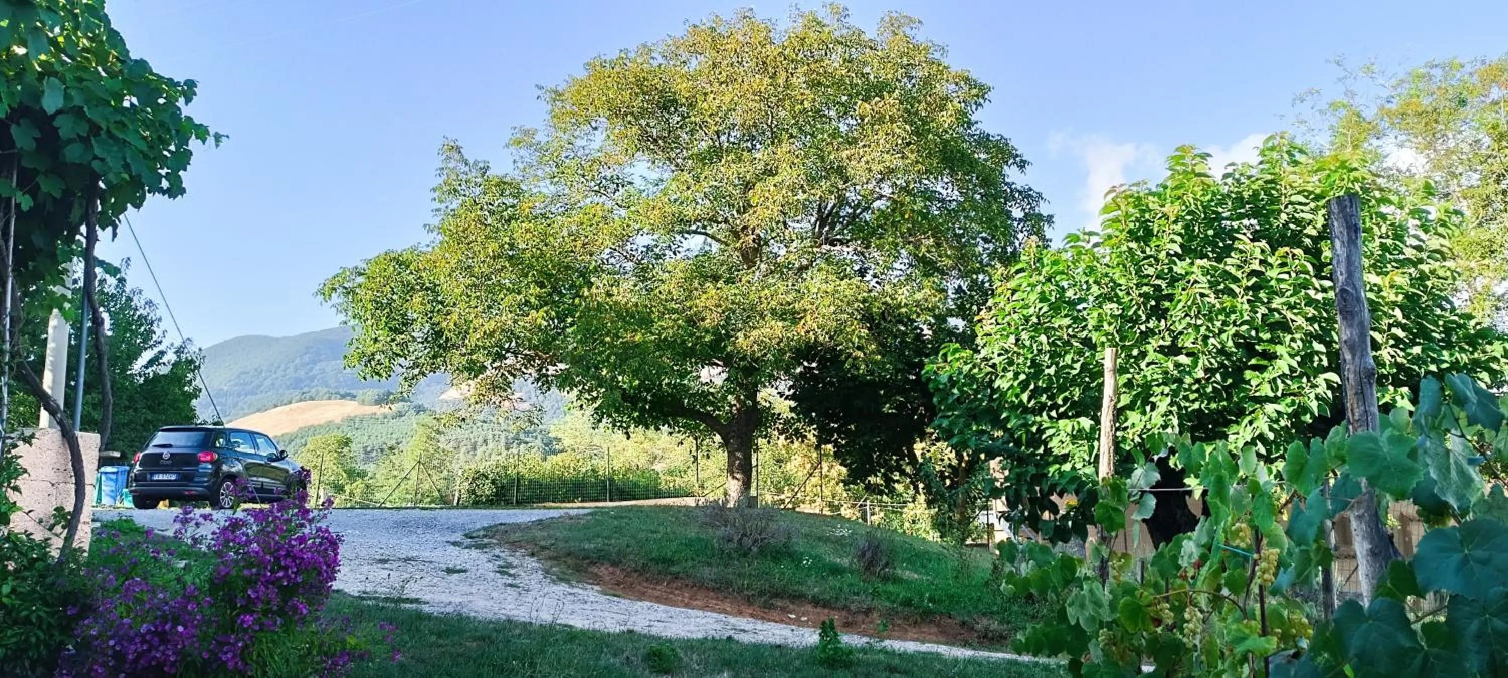 Dolcedorme del Pollino