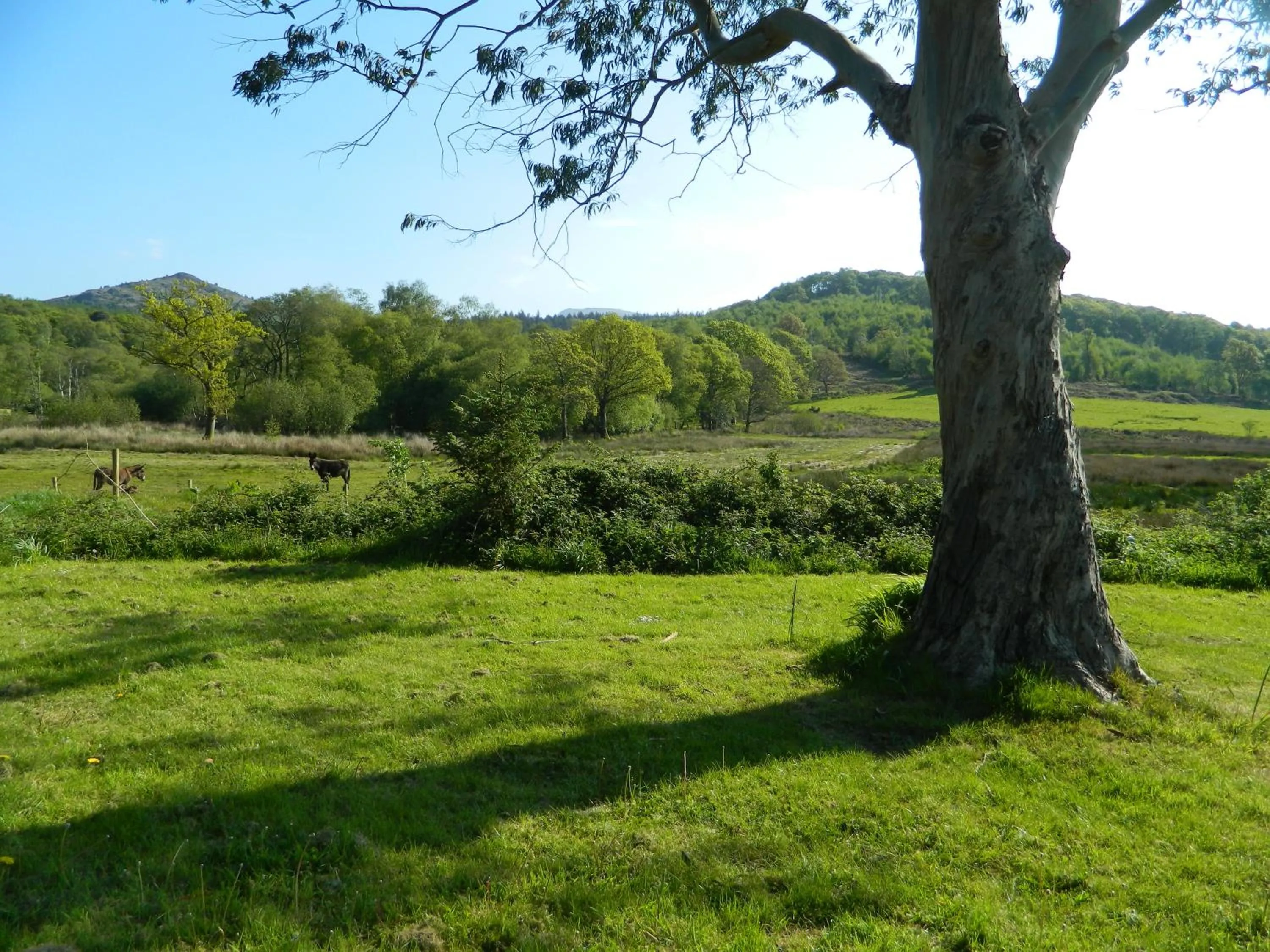 Parkgate Farm