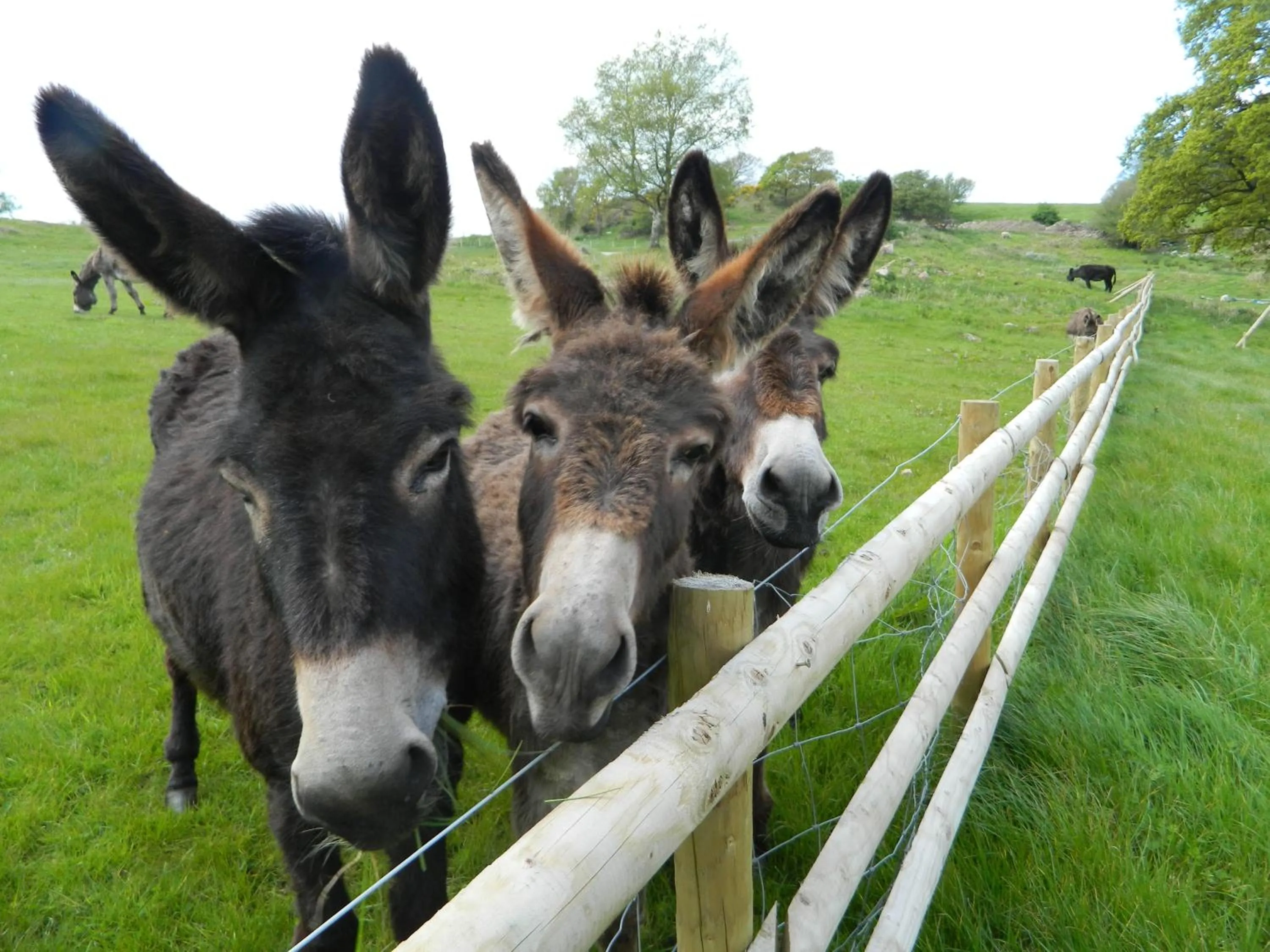 Parkgate Farm