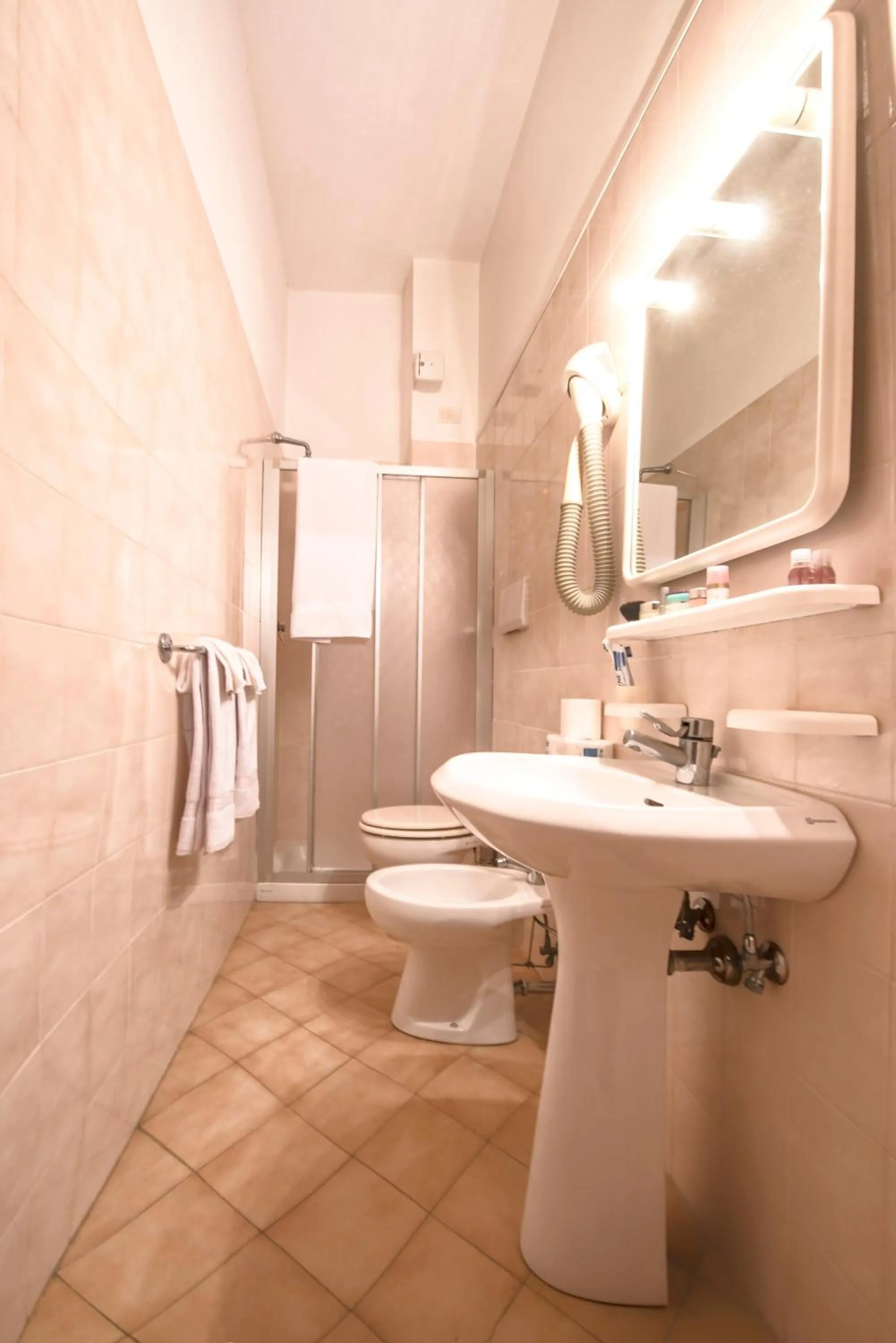 Toilet in Hotel Bristol