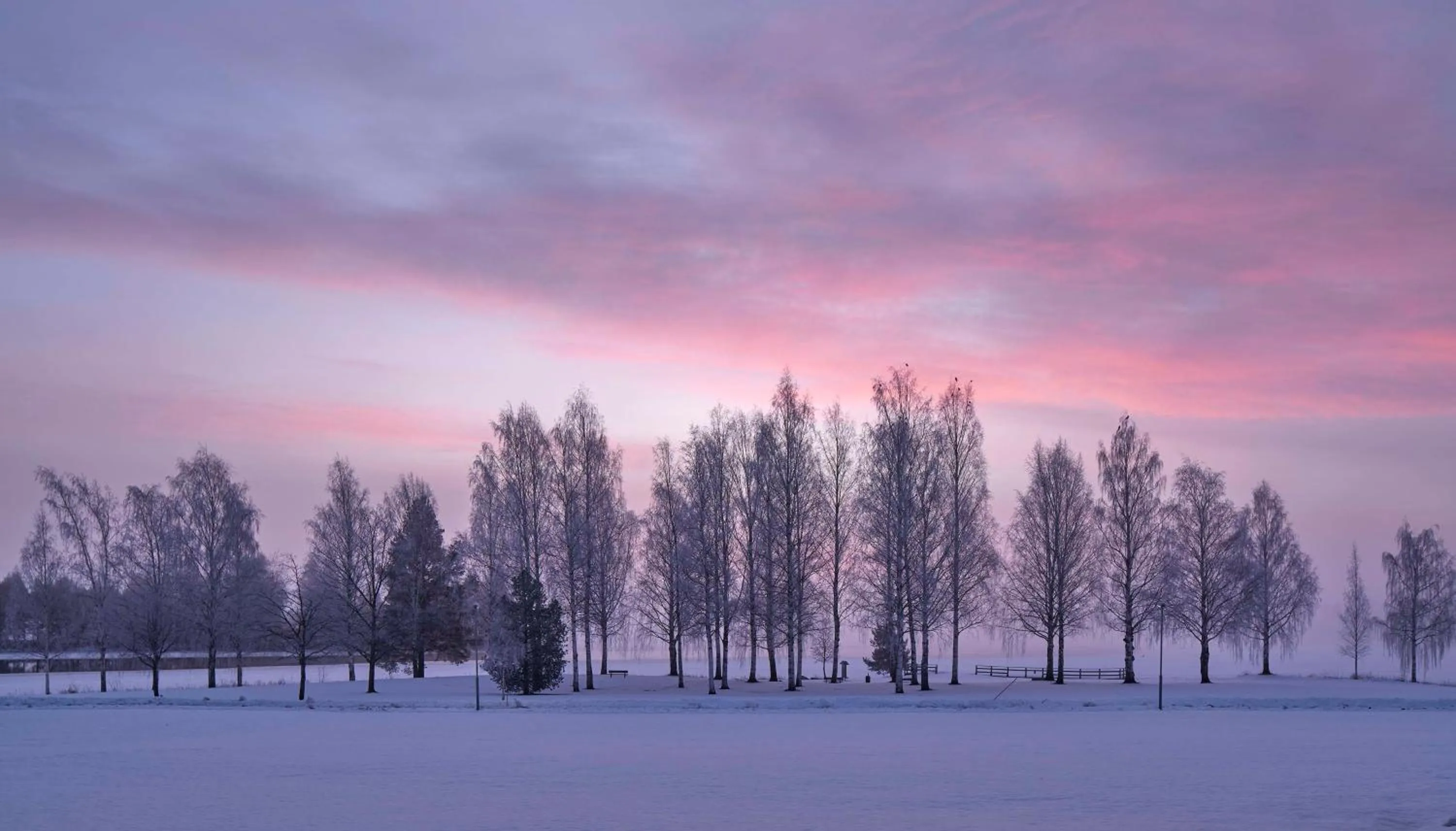 Property building in Scandic Bollnäs