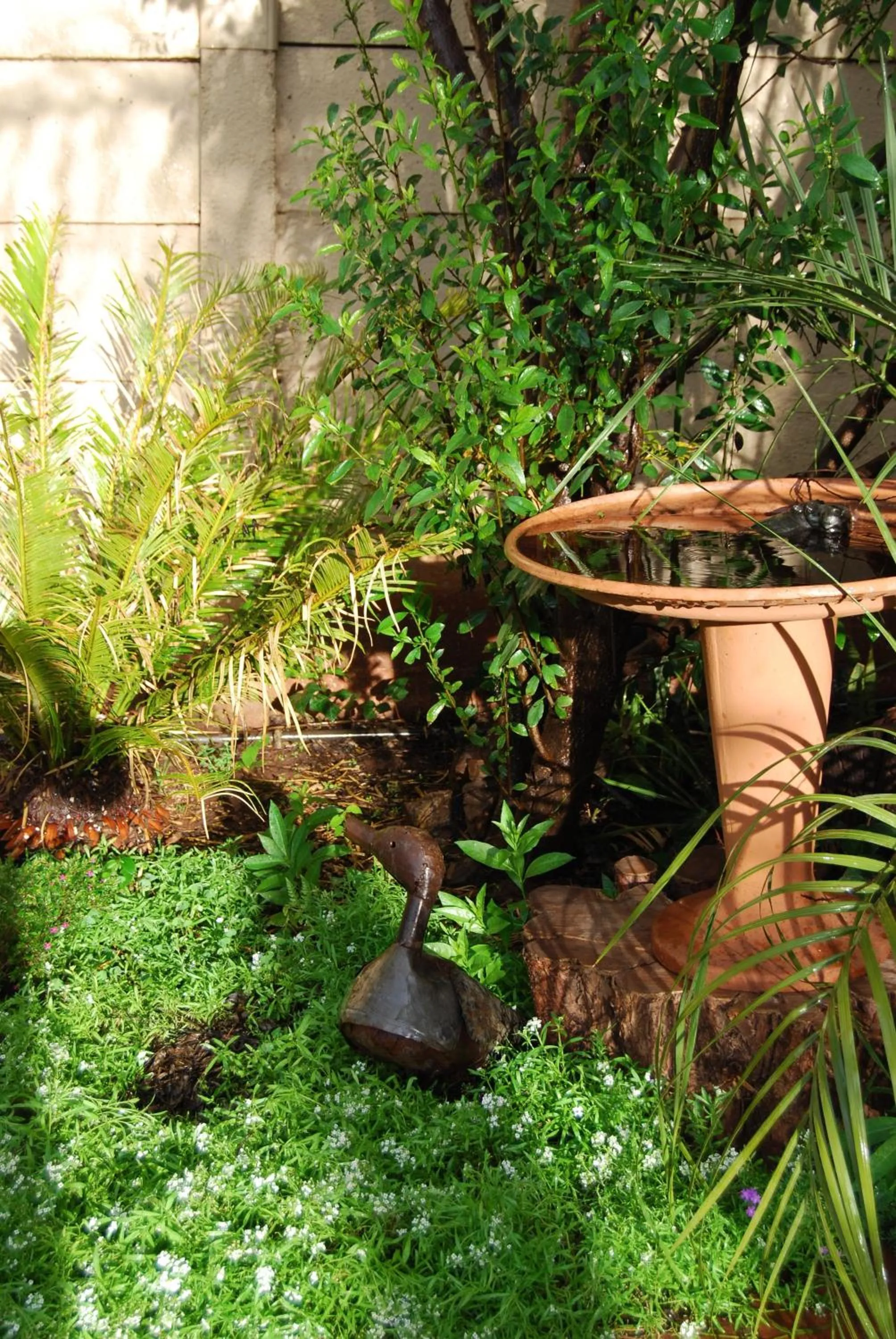 Garden in Pilgrims Delight Guest House