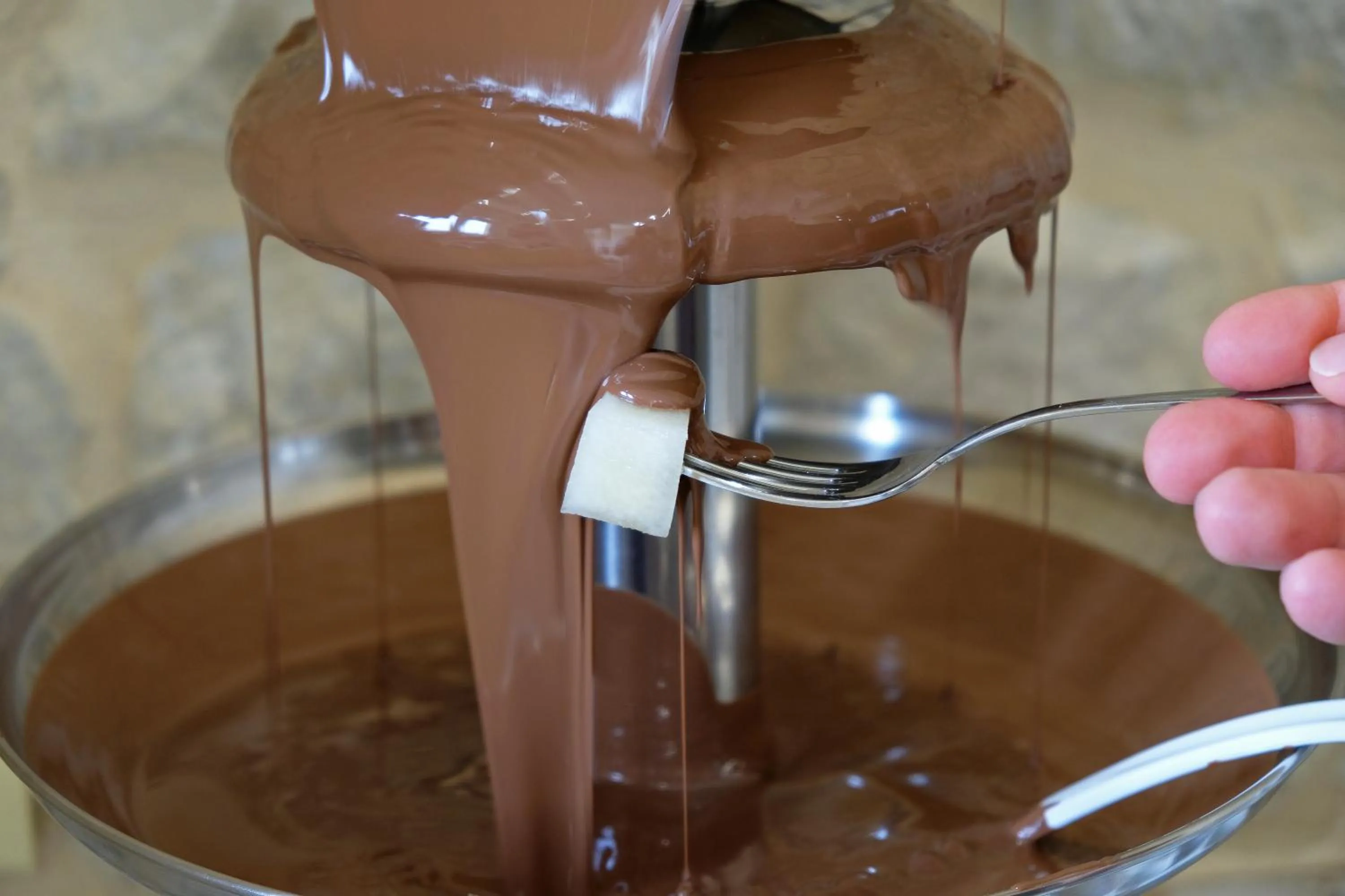 Food close-up in ChocoHouse