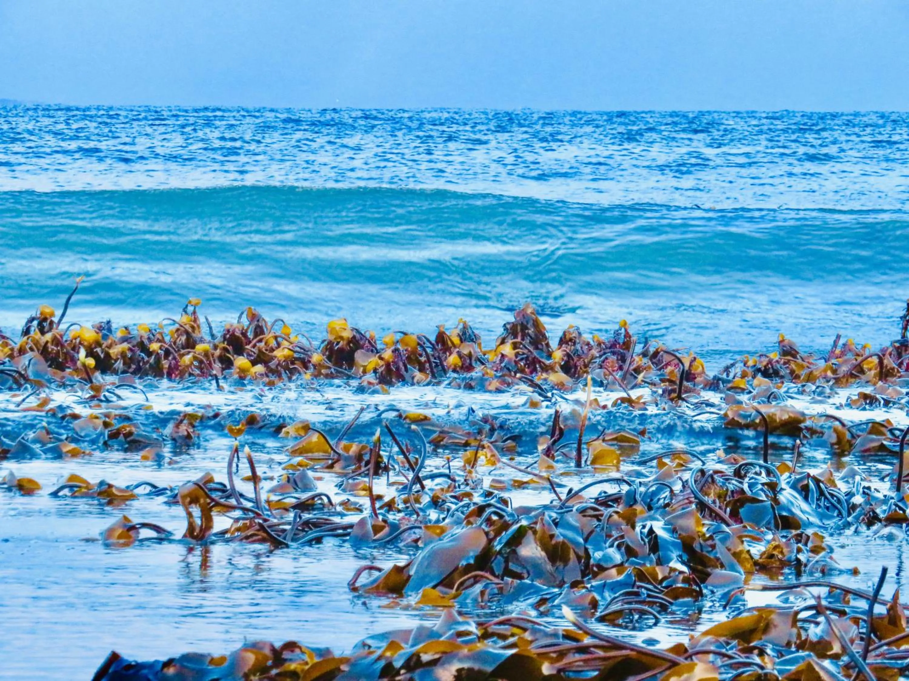 Beach in Windhaven Camping and B&B
