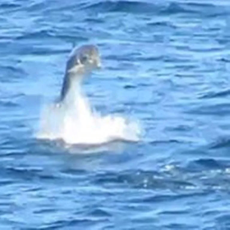 Windhaven Camping and B&B