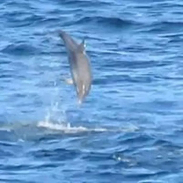 Windhaven Camping and B&B