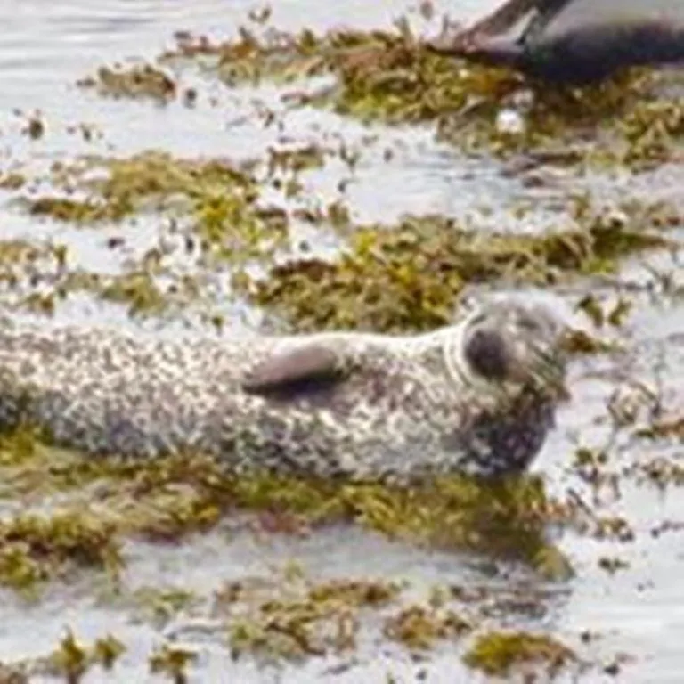 Windhaven Camping and B&B