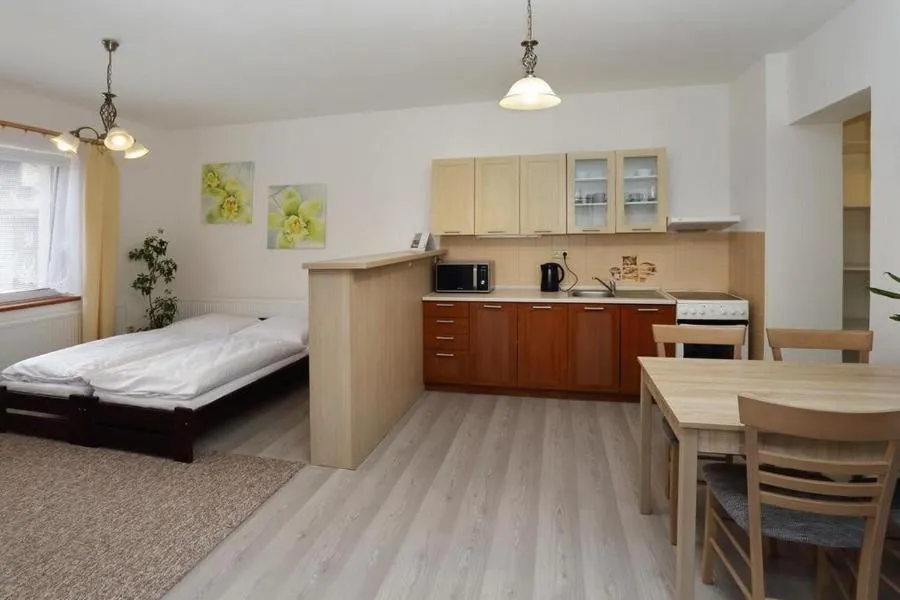 Kitchen or kitchenette, Bed in Aparthotel Brokeš