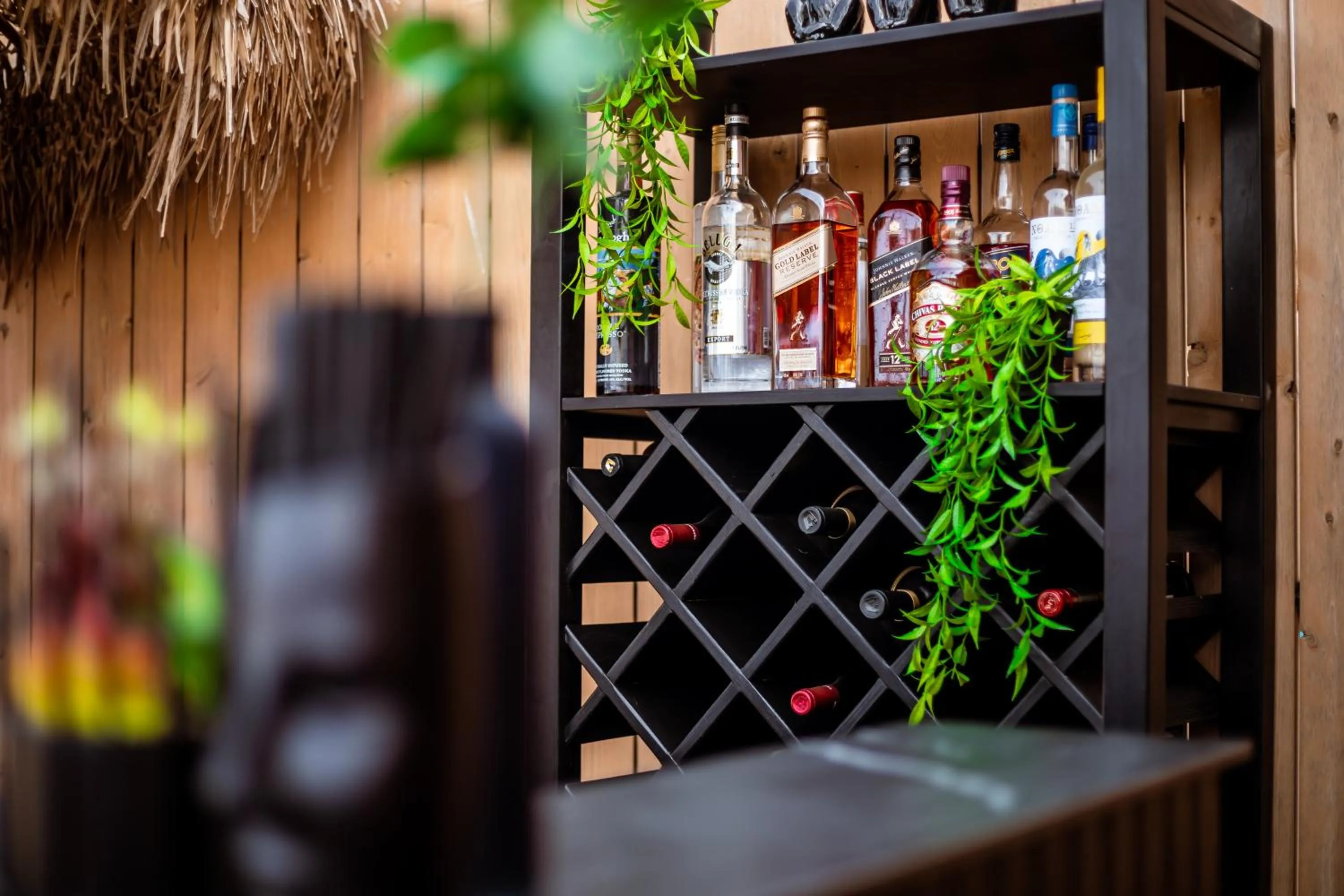 Lounge or bar in Jacob Sea Life Nahariya