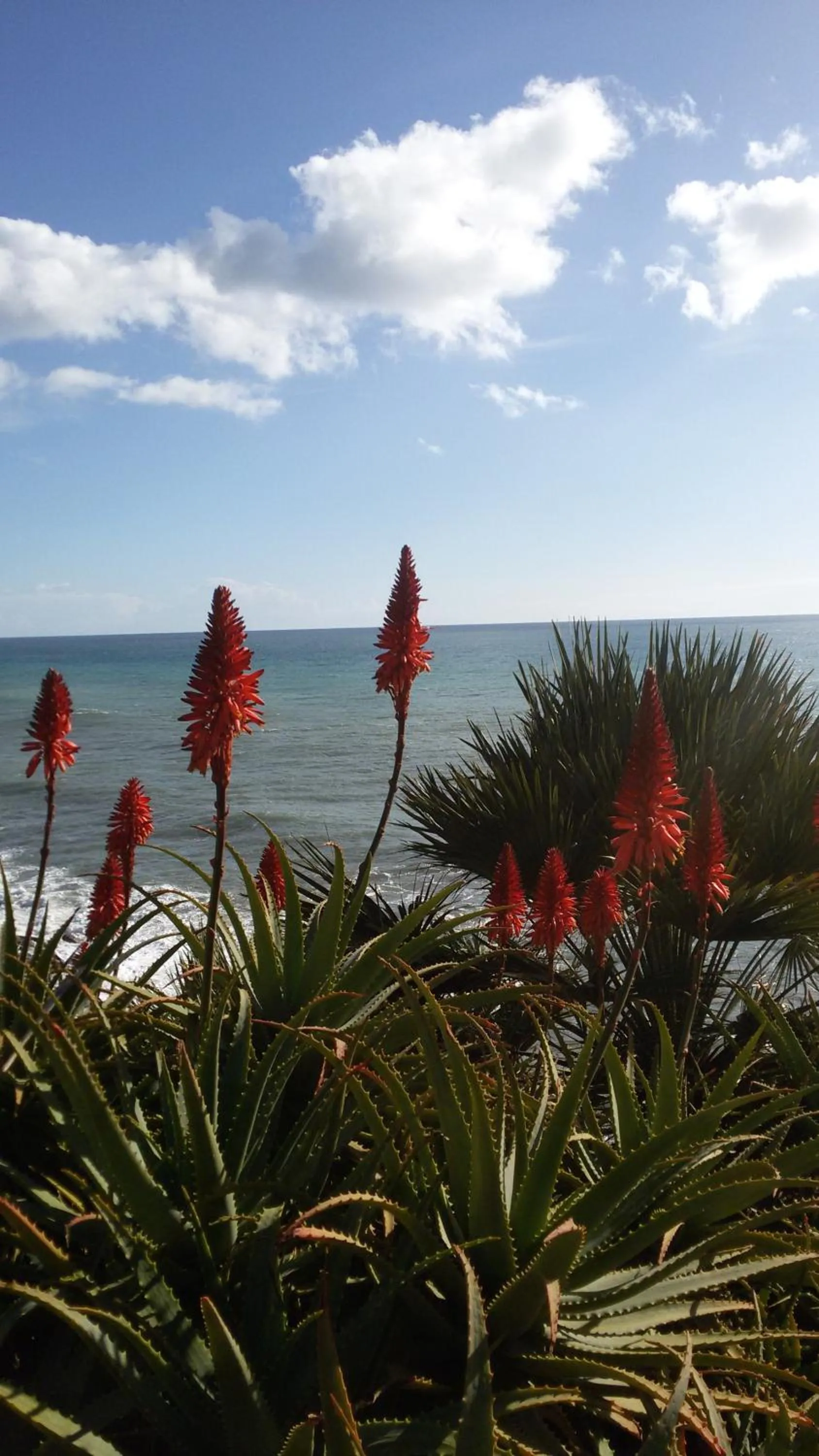 Other in Albergo Costa