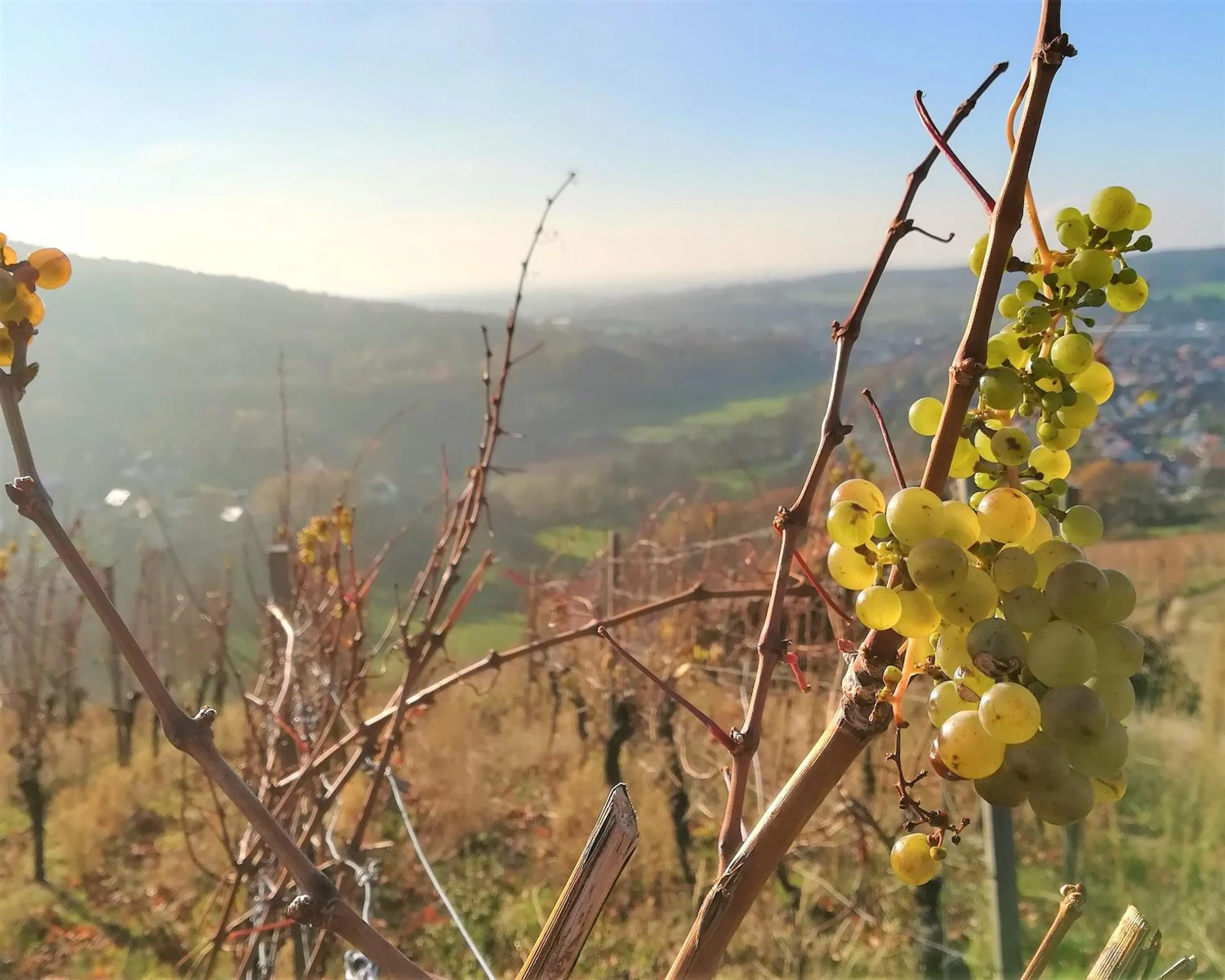 Natural landscape in Gasthaus Dörsthof