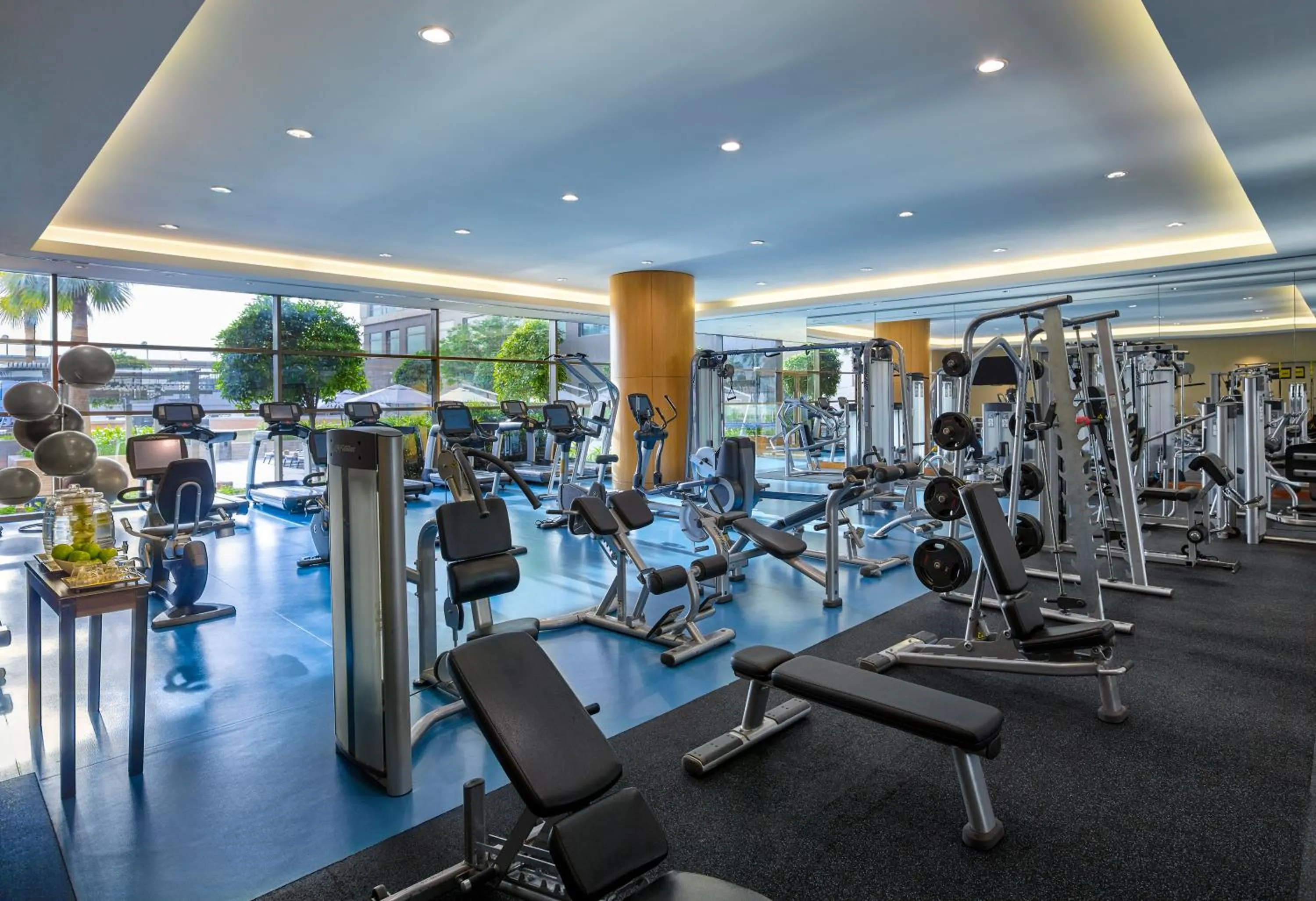 Fitness centre/facilities in Swissôtel Al Ghurair Dubai - Deira & Creek