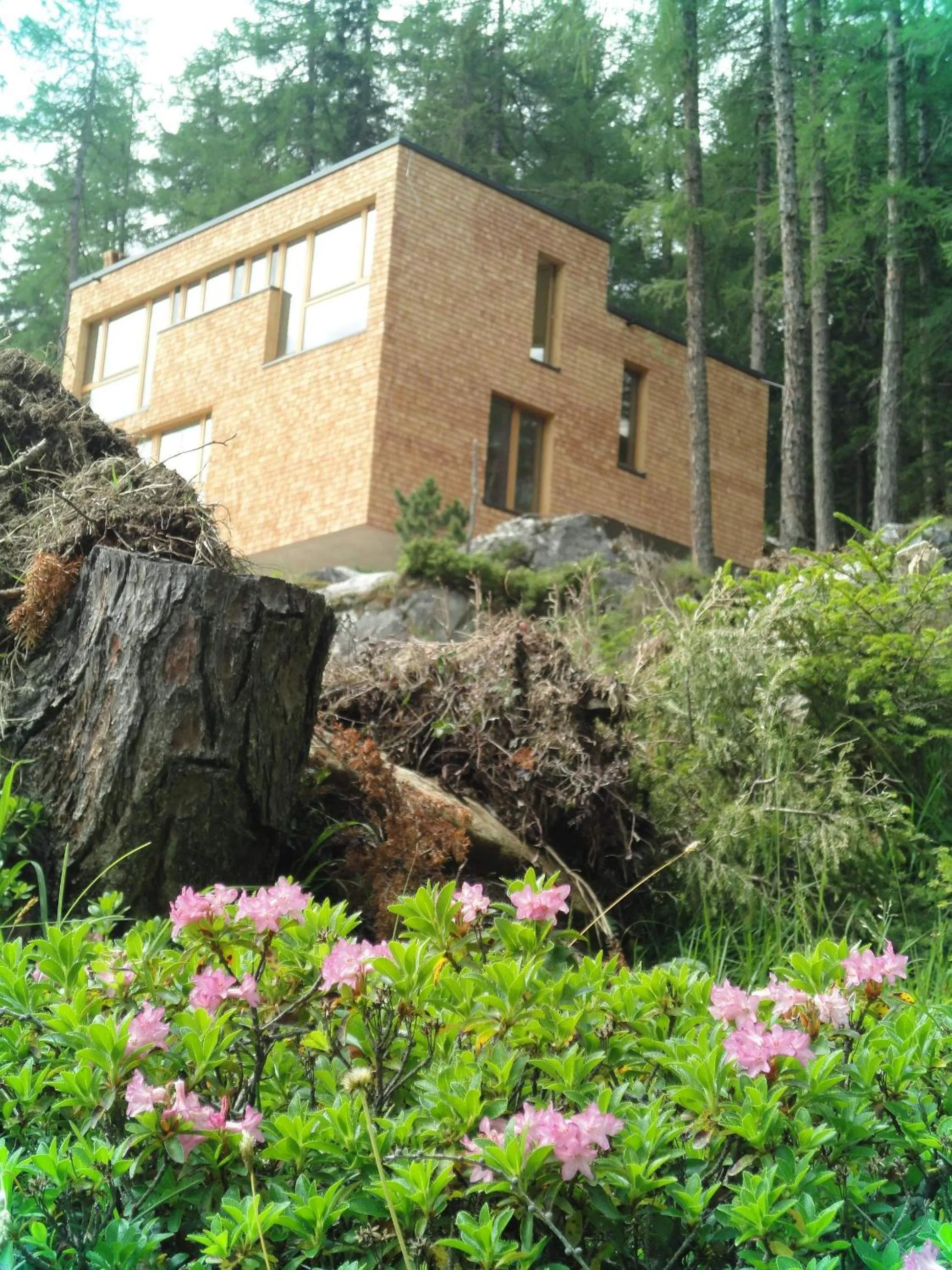 Facade/entrance in Gradonna Mountain Resort Chalets & Hotel
