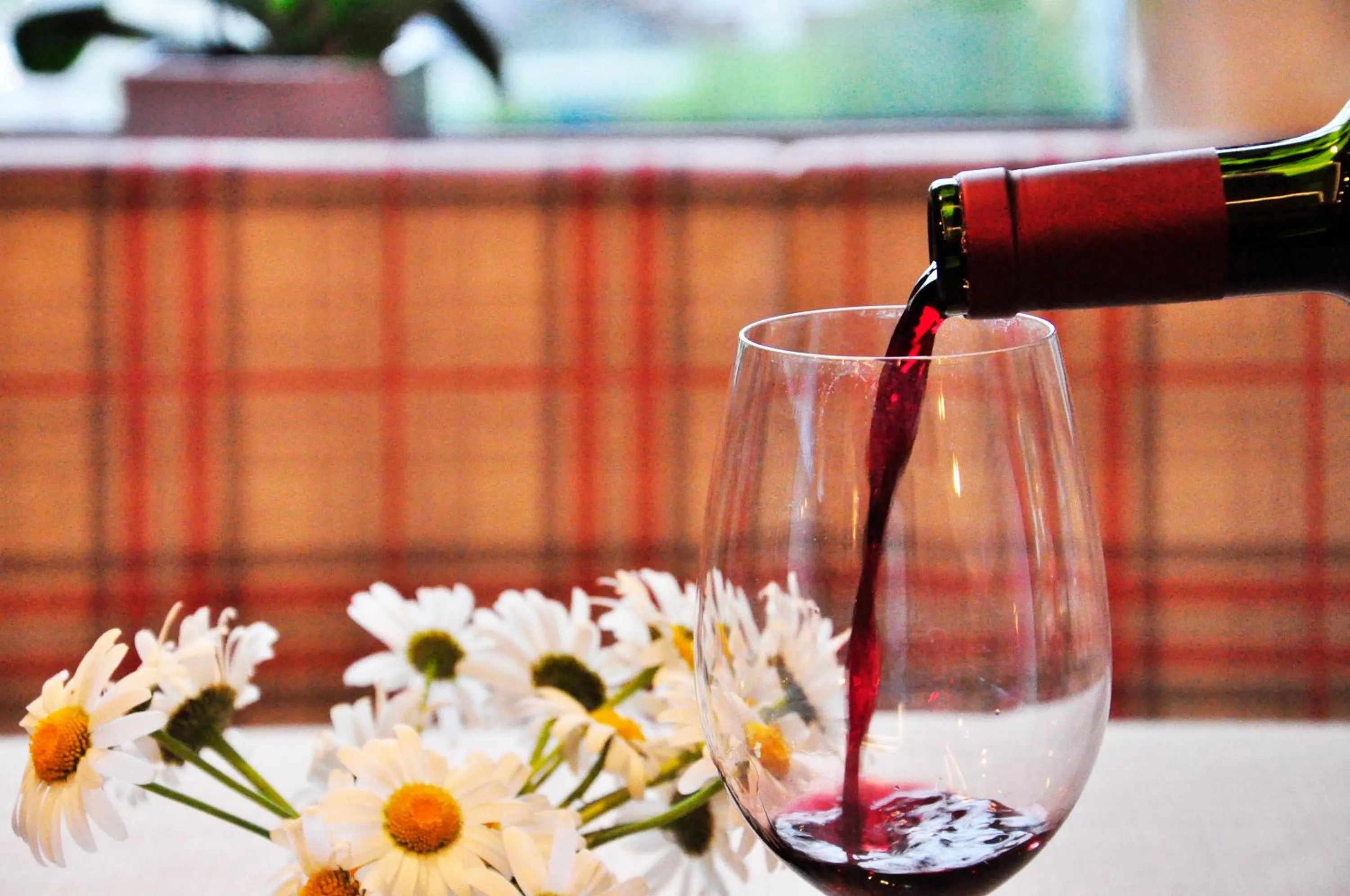 Alcoholic drinks in Pension Rungg